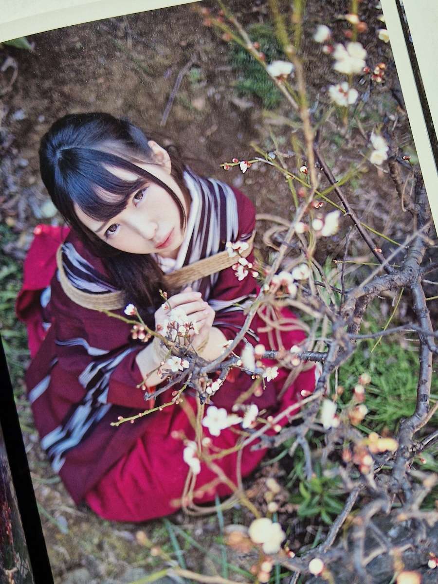 Hanafuda kinbaku Hajime Kinoko white 13 Hanafuda kinbaku Hajime Kinoko white 13