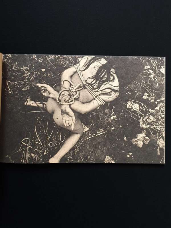 daido moriyama Mayfly New signed edition 16