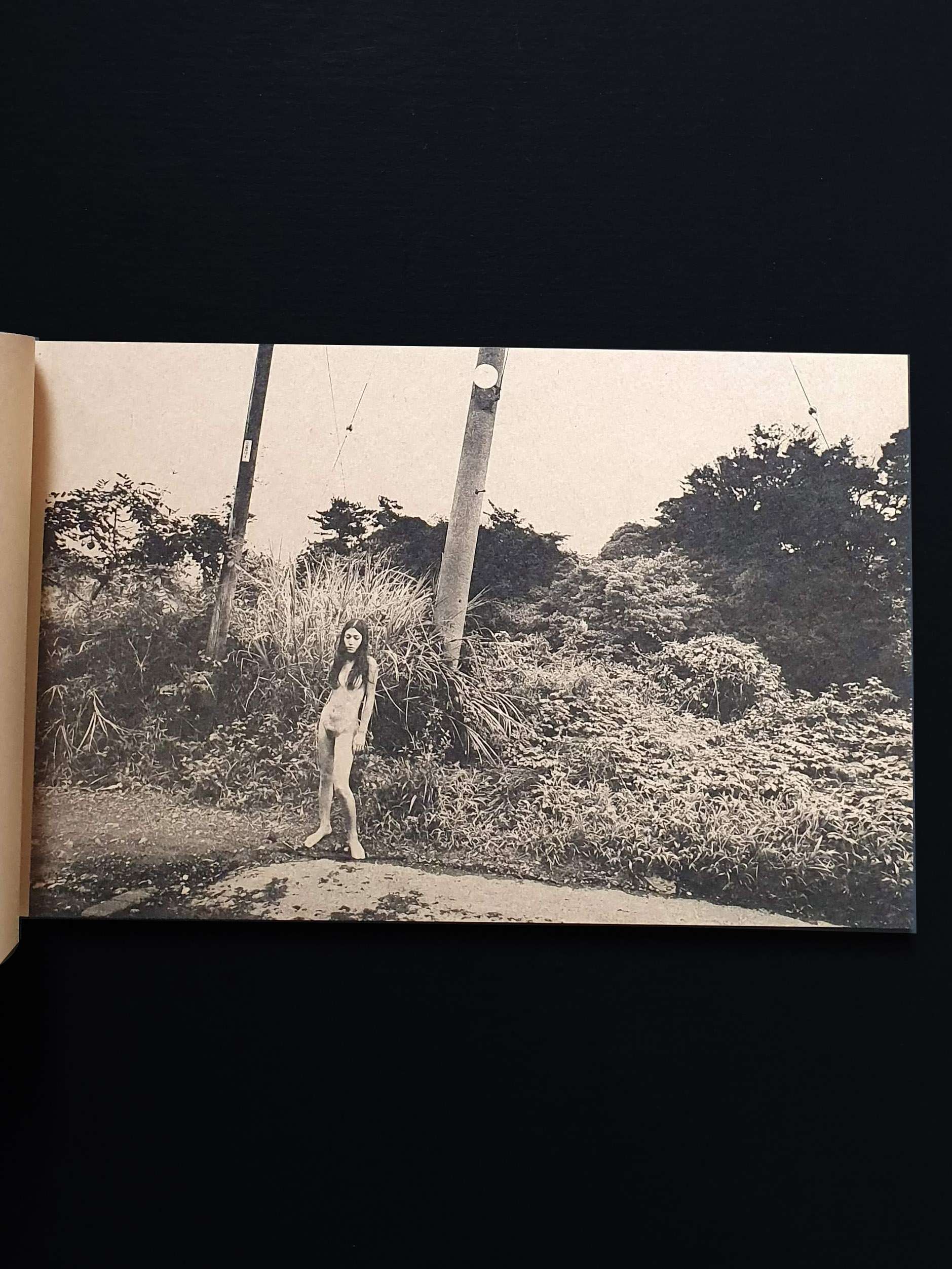 daido moriyama Mayfly New signed edition 11 daido moriyama Mayfly New signed edition 11