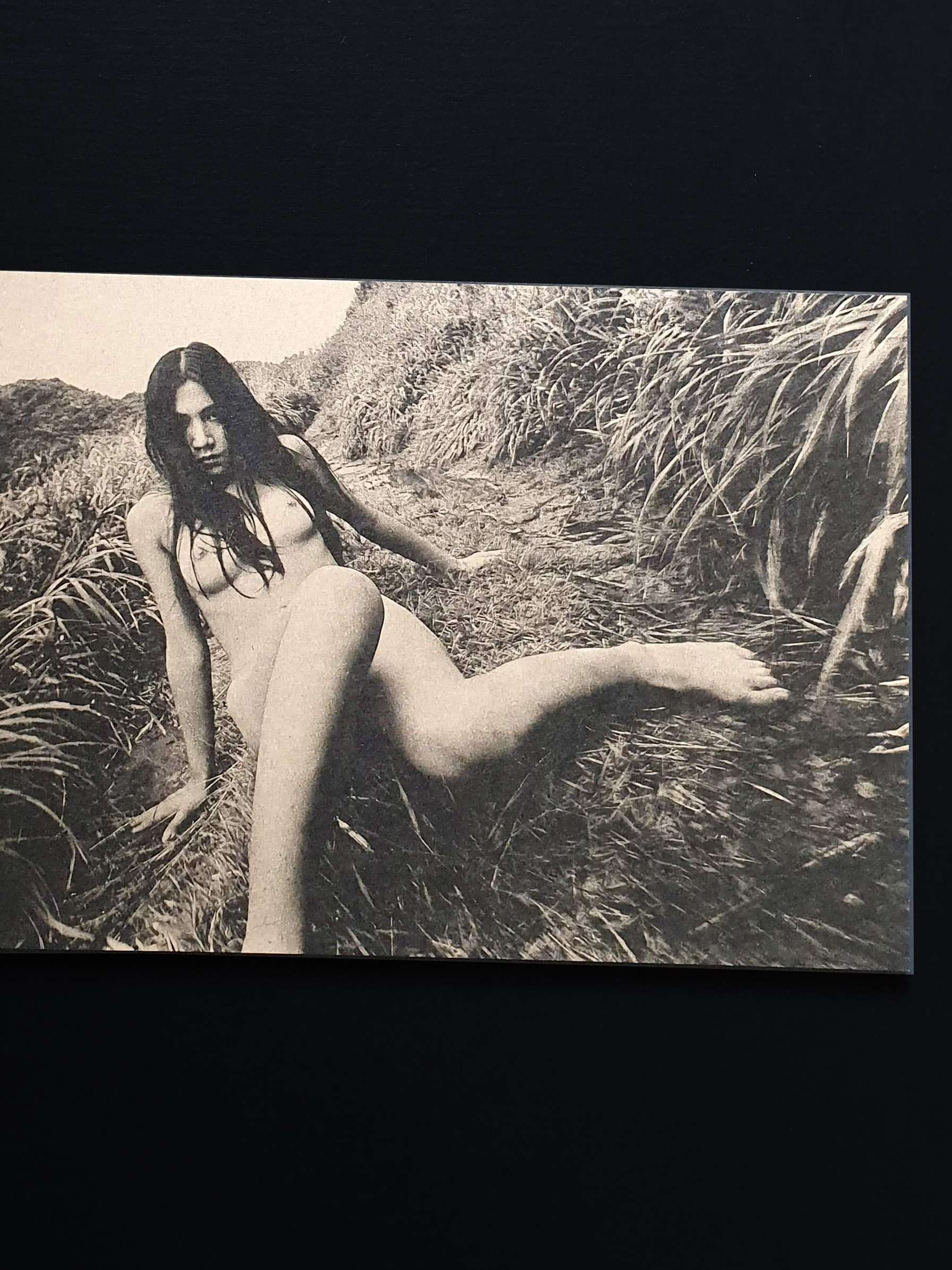 daido moriyama Mayfly New signed edition 12 daido moriyama Mayfly New signed edition 12