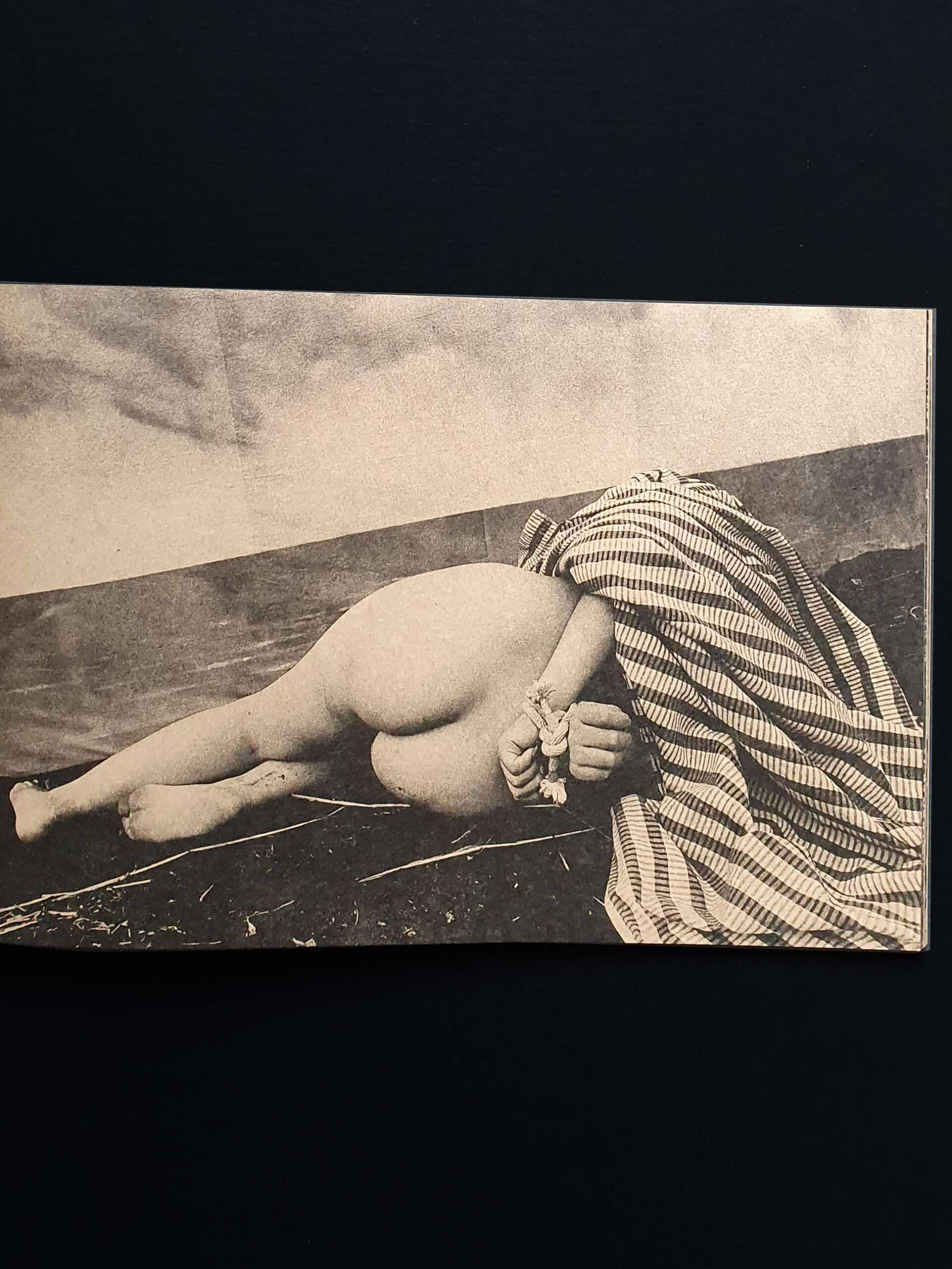 daido moriyama Mayfly New signed edition 14 daido moriyama Mayfly New signed edition 14