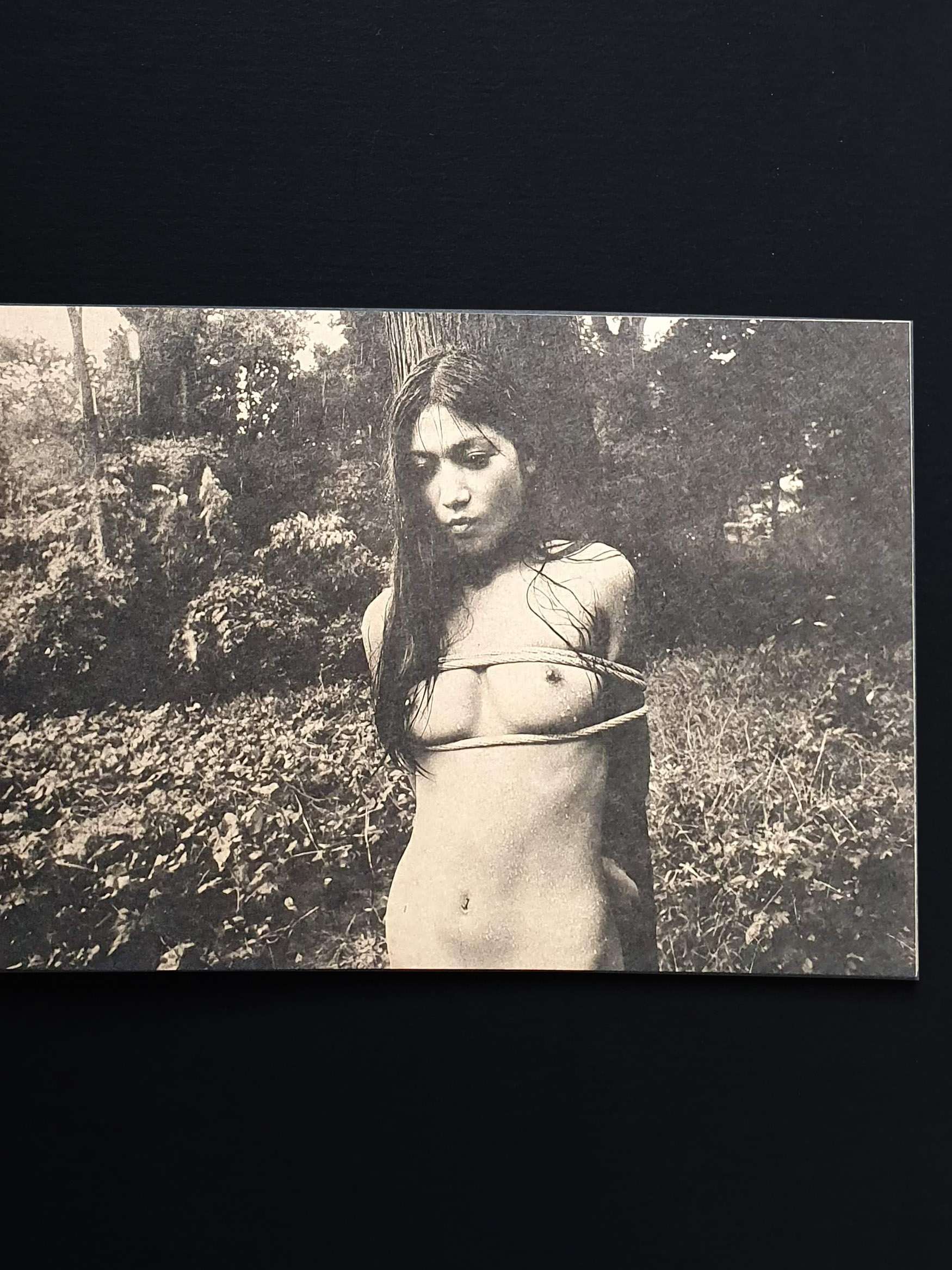 daido moriyama Mayfly New signed edition 15 daido moriyama Mayfly New signed edition 15