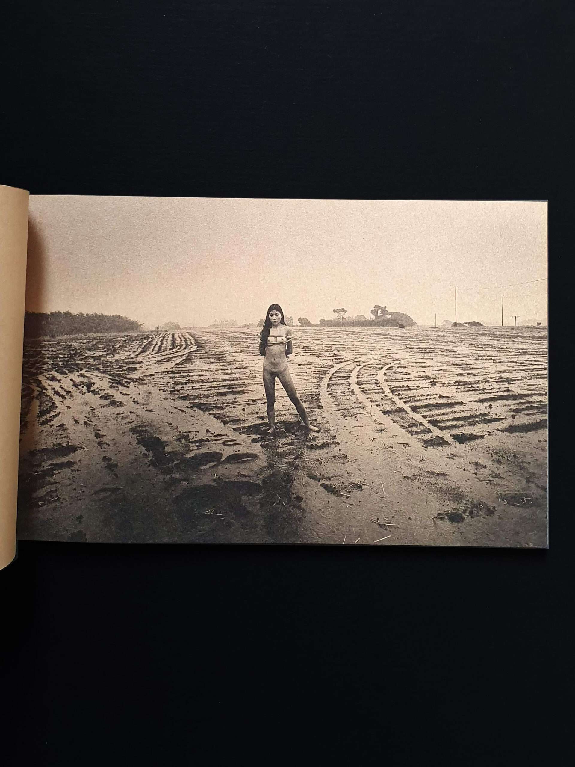 daido moriyama Mayfly New signed edition 17 daido moriyama Mayfly New signed edition 17