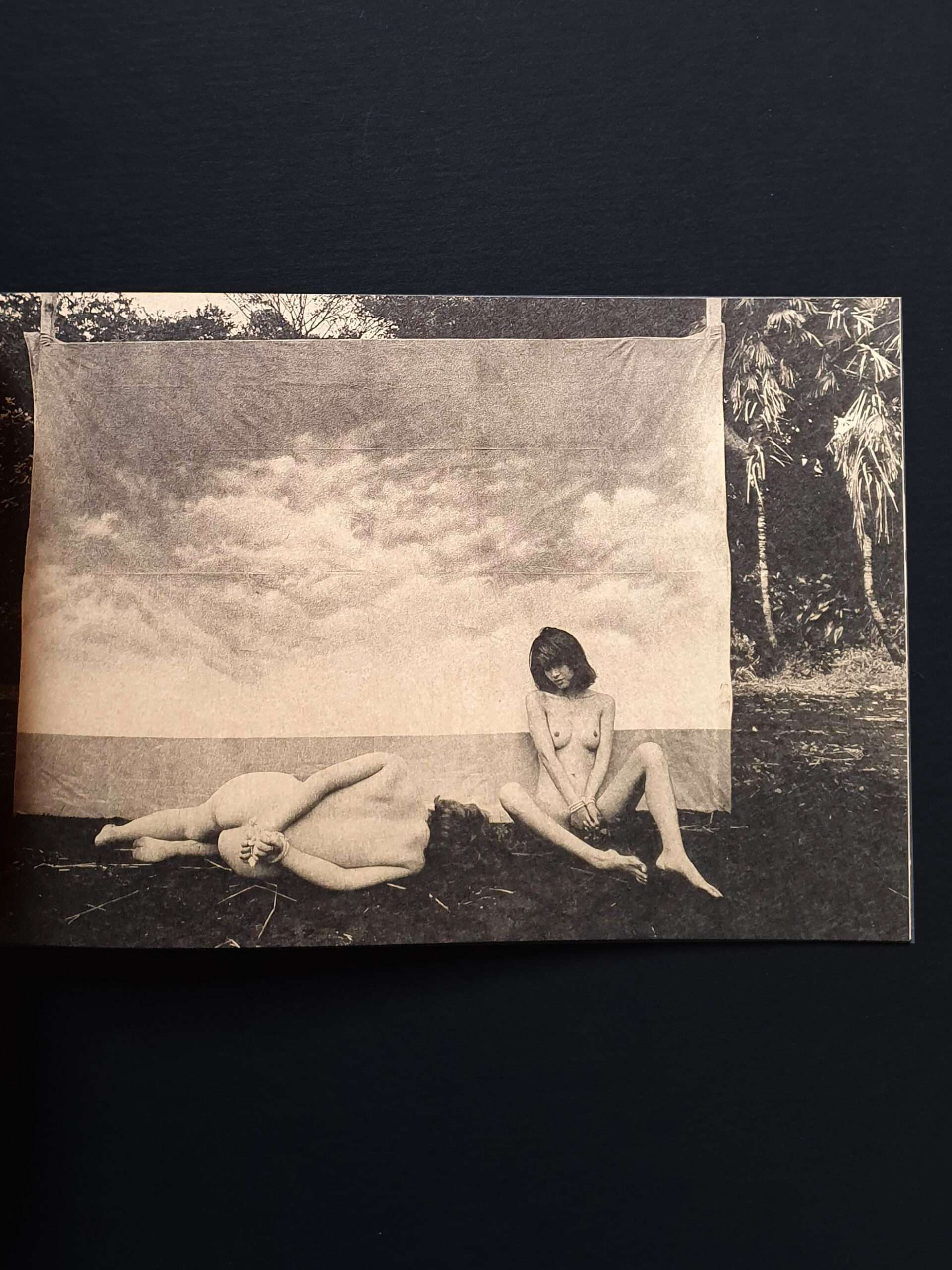 daido moriyama Mayfly New signed edition 19 daido moriyama Mayfly New signed edition 19