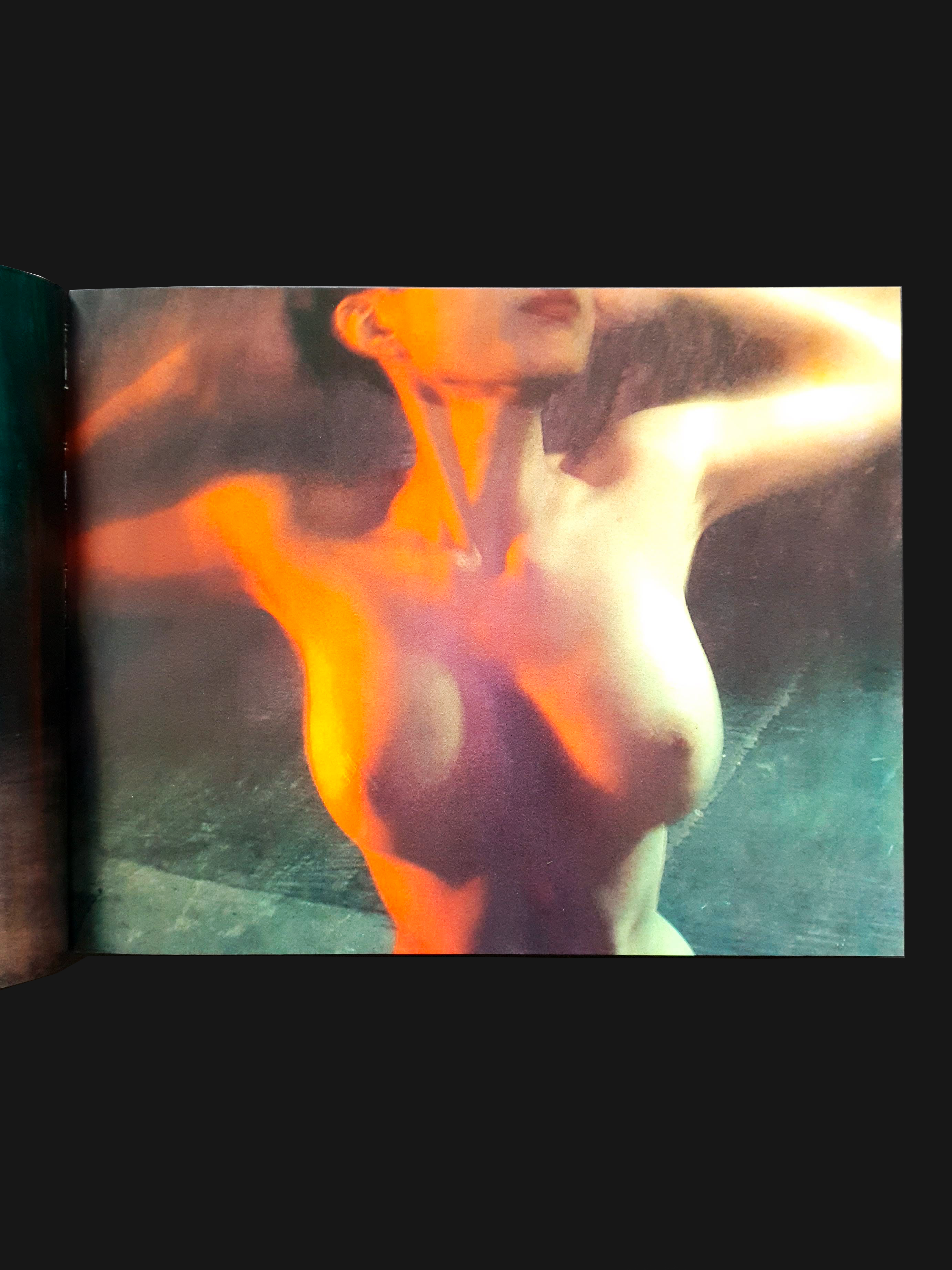 Arakitronics Nobuyoshi Araki 3 Arakitronics Nobuyoshi Araki 3