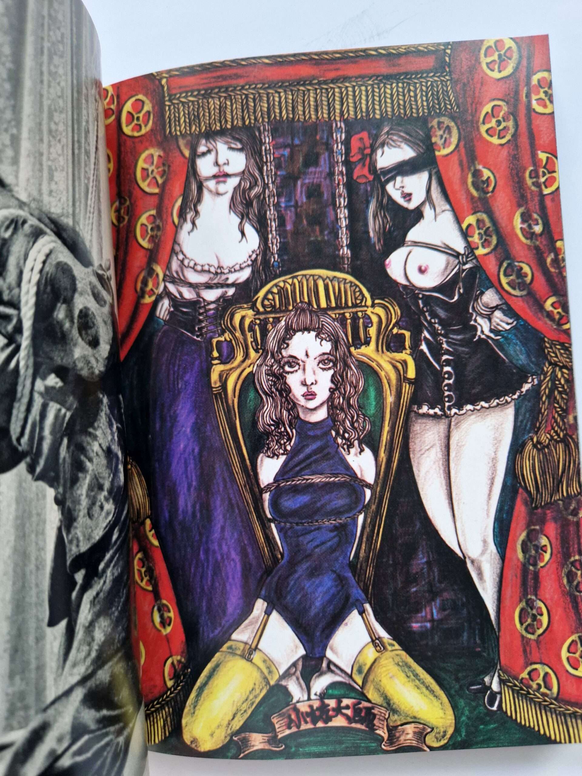 Deluxe Color Edition Bondage Photo Collection 4 Fuzoku Kitan Special Issue 7