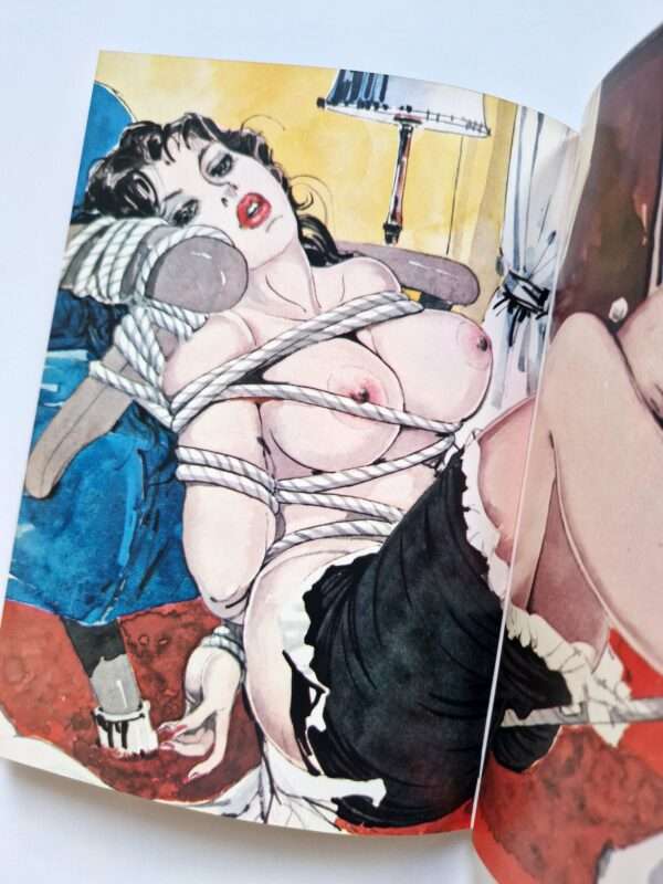 Deluxe Color Edition Bondage Photo Collection 4 Fuzoku Kitan Special Issue 8
