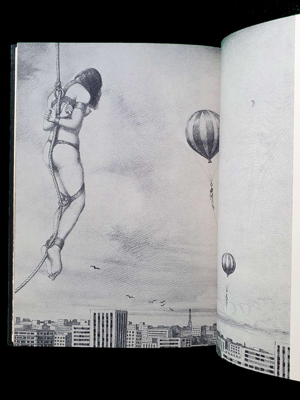 Gashu, Nawa to Onna Yoji Muku 6 Gashu, Nawa to Onna Yoji Muku 6