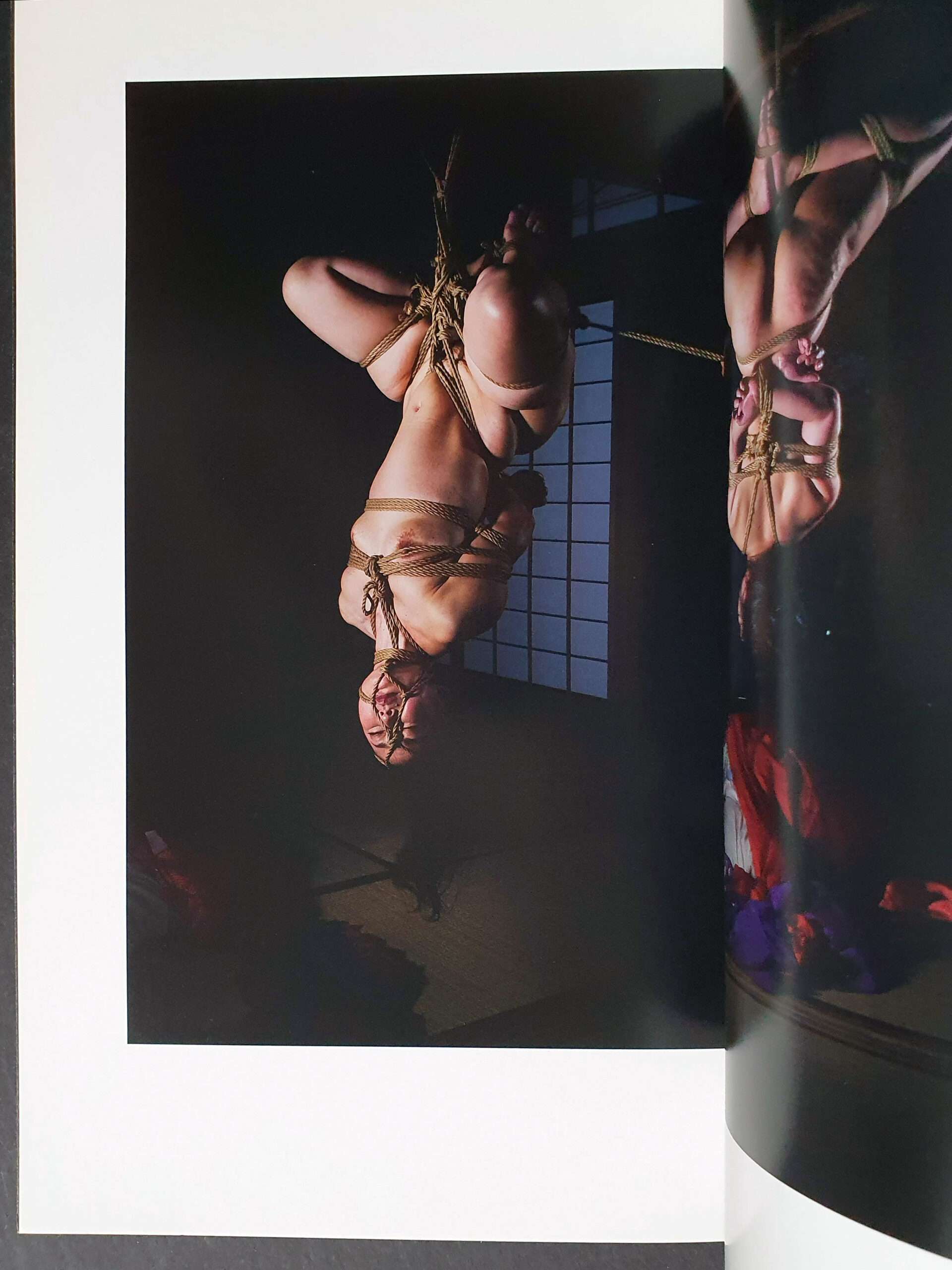 Gokushiteki Kinbaku yashi nao Kinoko 8 Gokushiteki Kinbaku yashi nao Kinoko 8