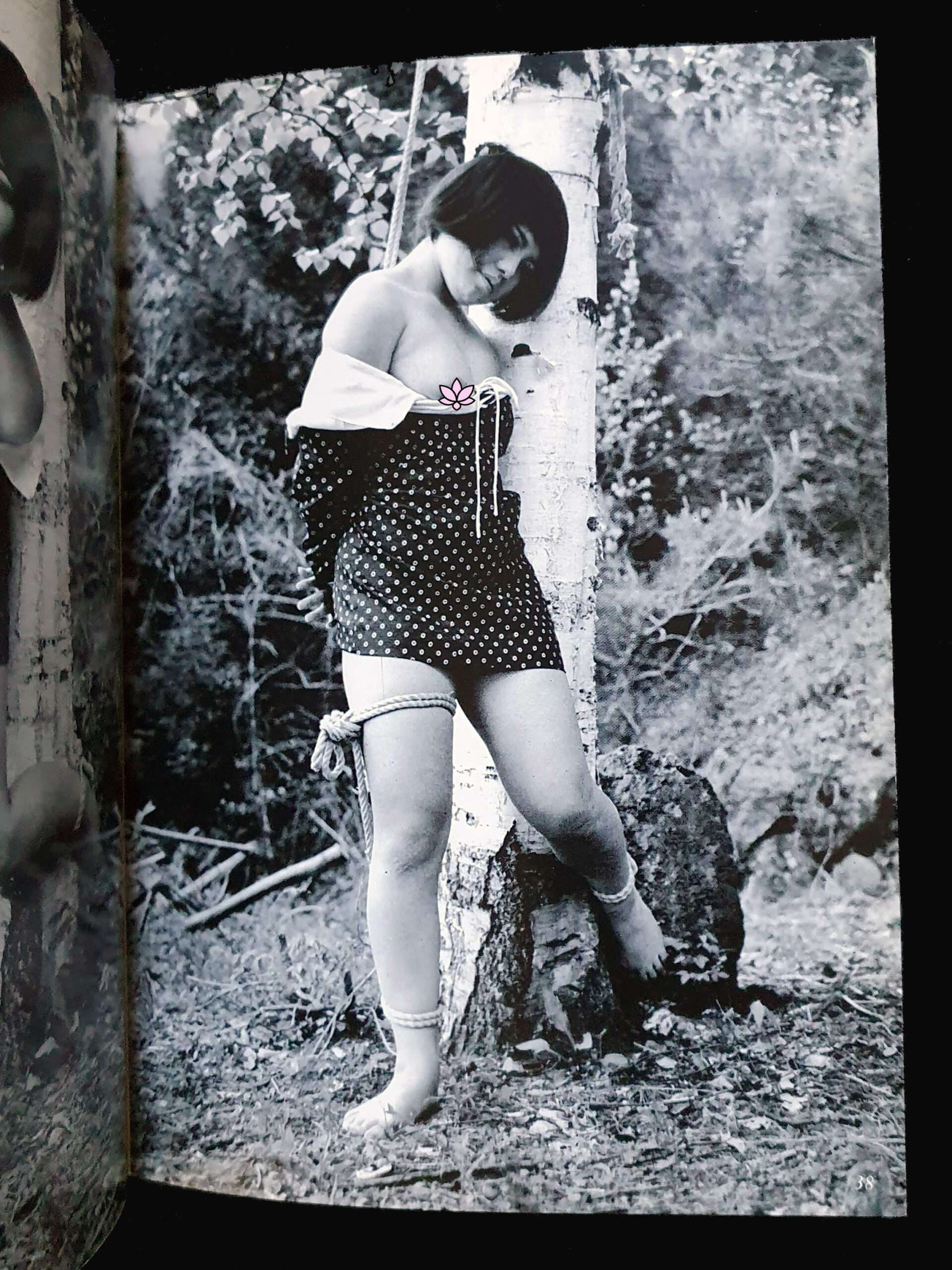 Kinbaku Photo Dan Oniroku No.9 12 Kinbaku Photo Dan Oniroku No.9 12