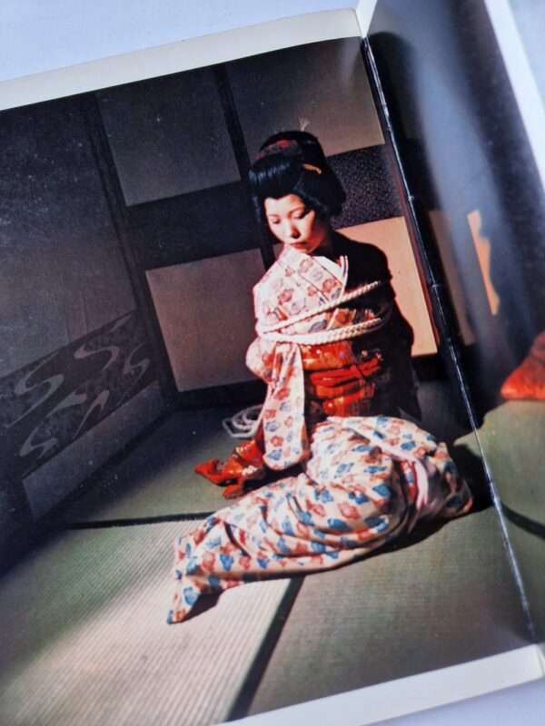 Kinbaku color deluxe version vol.1 5 Oniroku Dan 18