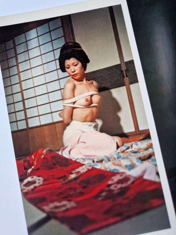 Kinbaku color deluxe version vol.1 5 Oniroku Dan 19