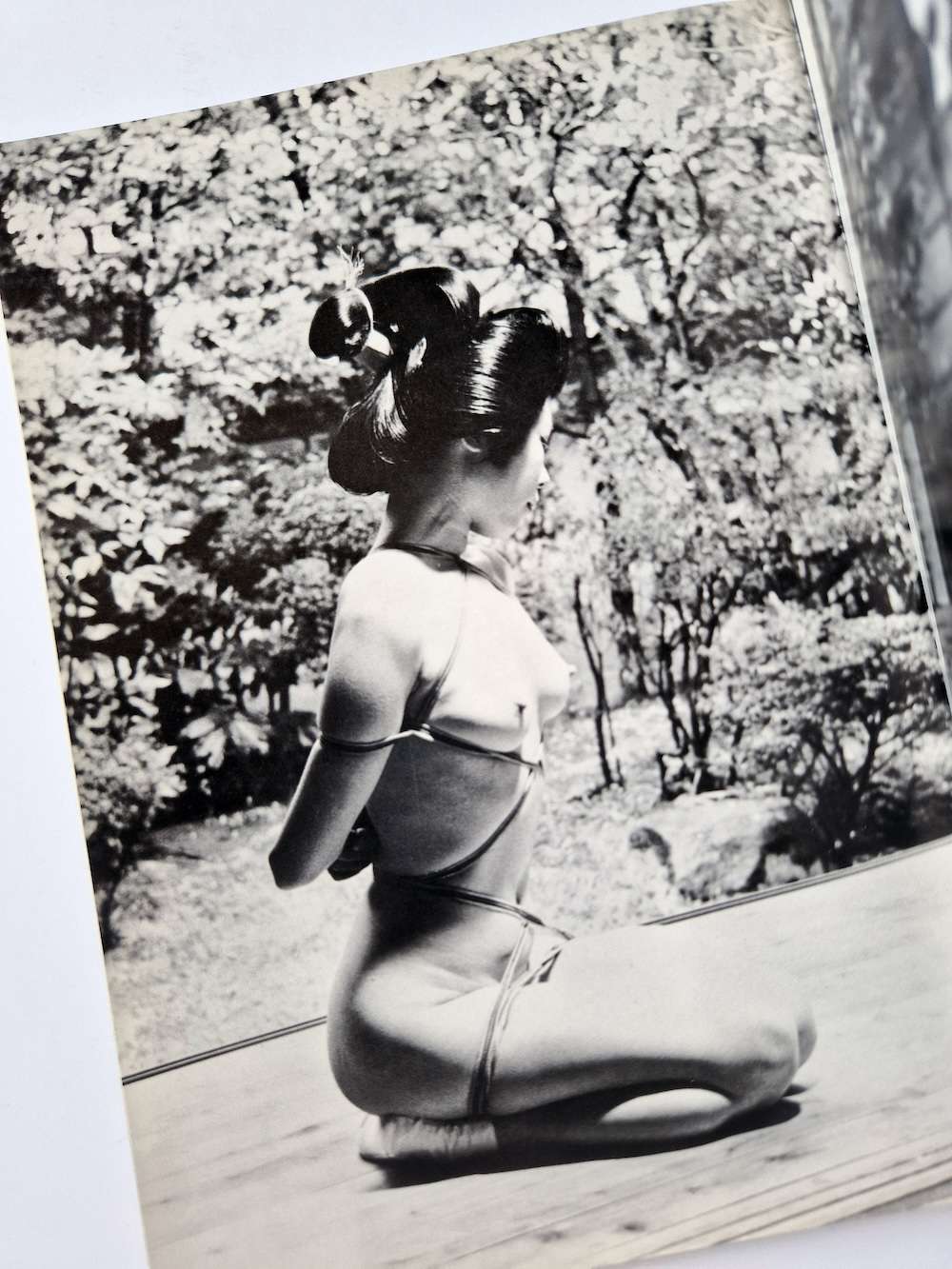 Kinbaku color deluxe version vol.1 5 Oniroku Dan 21 Kinbaku color deluxe version vol.1 5 Oniroku Dan 21