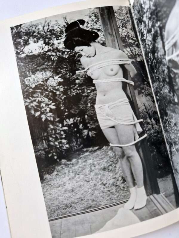 Kinbaku color deluxe version vol.1 5 Oniroku Dan 22