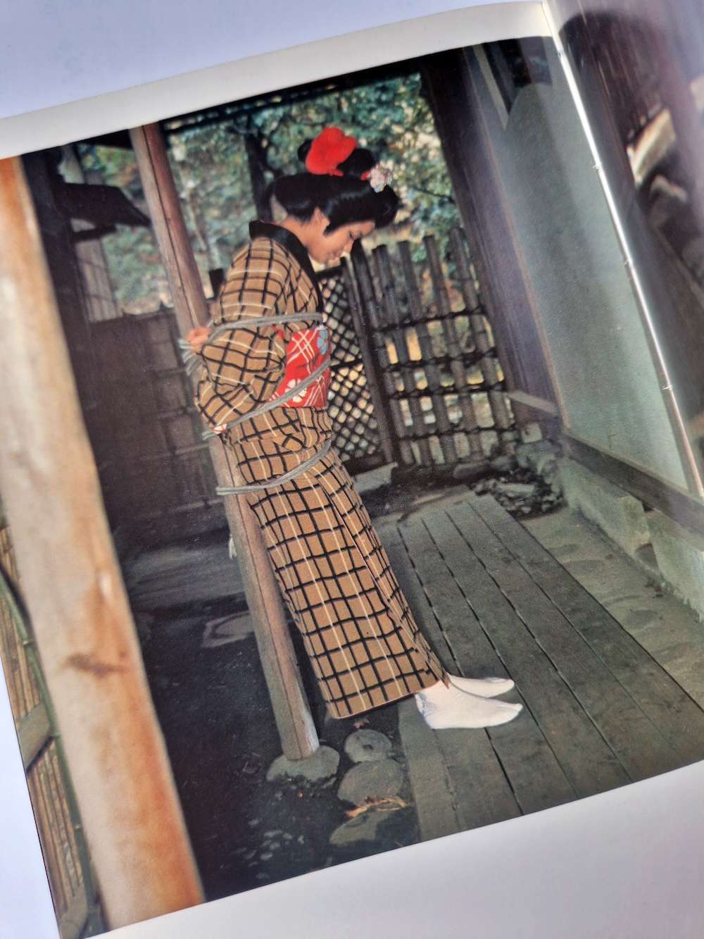 Kinbaku color deluxe version vol.1 5 Oniroku Dan 25 Kinbaku color deluxe version vol.1 5 Oniroku Dan 25