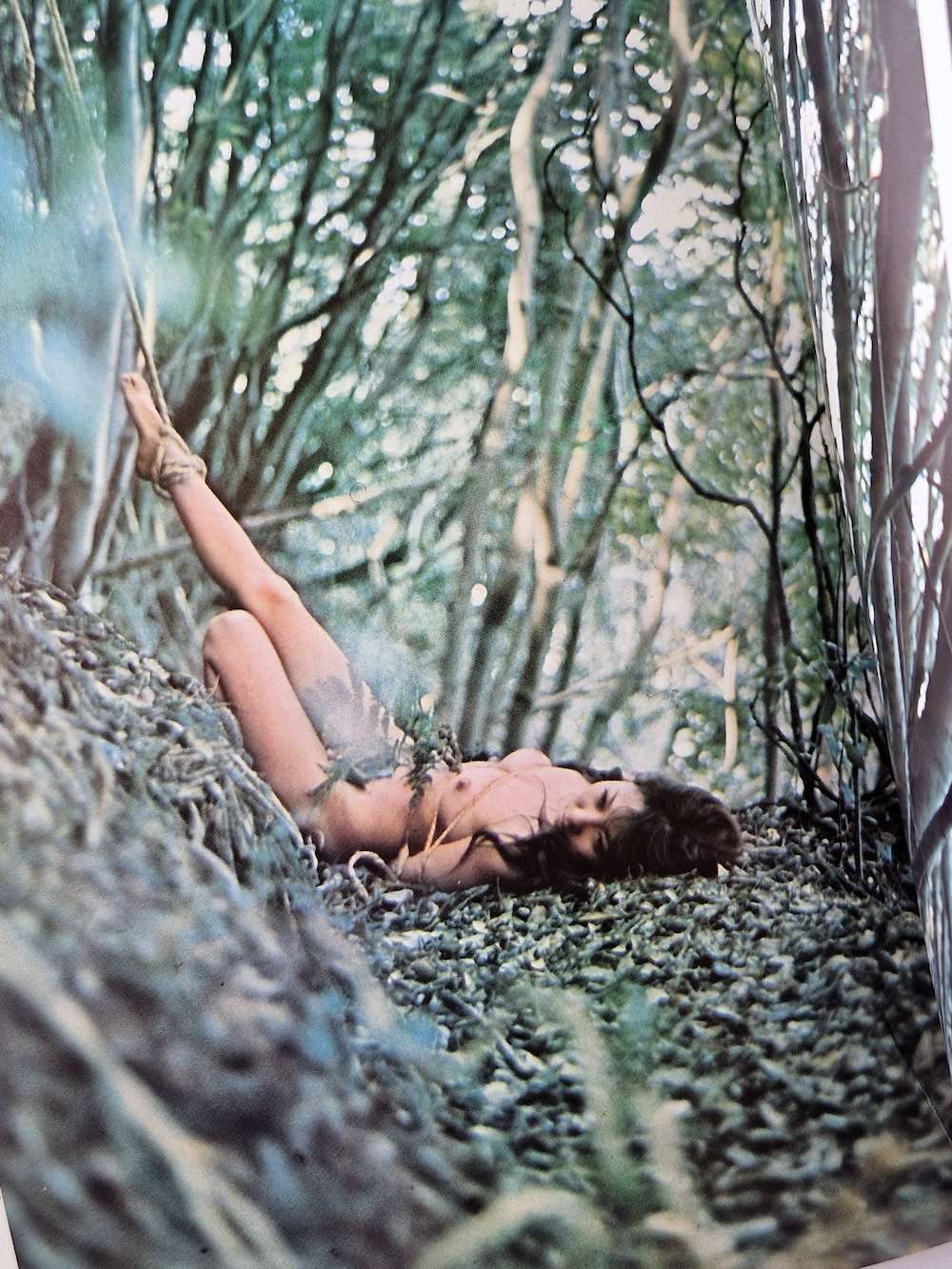 Kinbaku color deluxe version vol.1 5 Oniroku Dan 32 Kinbaku color deluxe version vol.1 5 Oniroku Dan 32