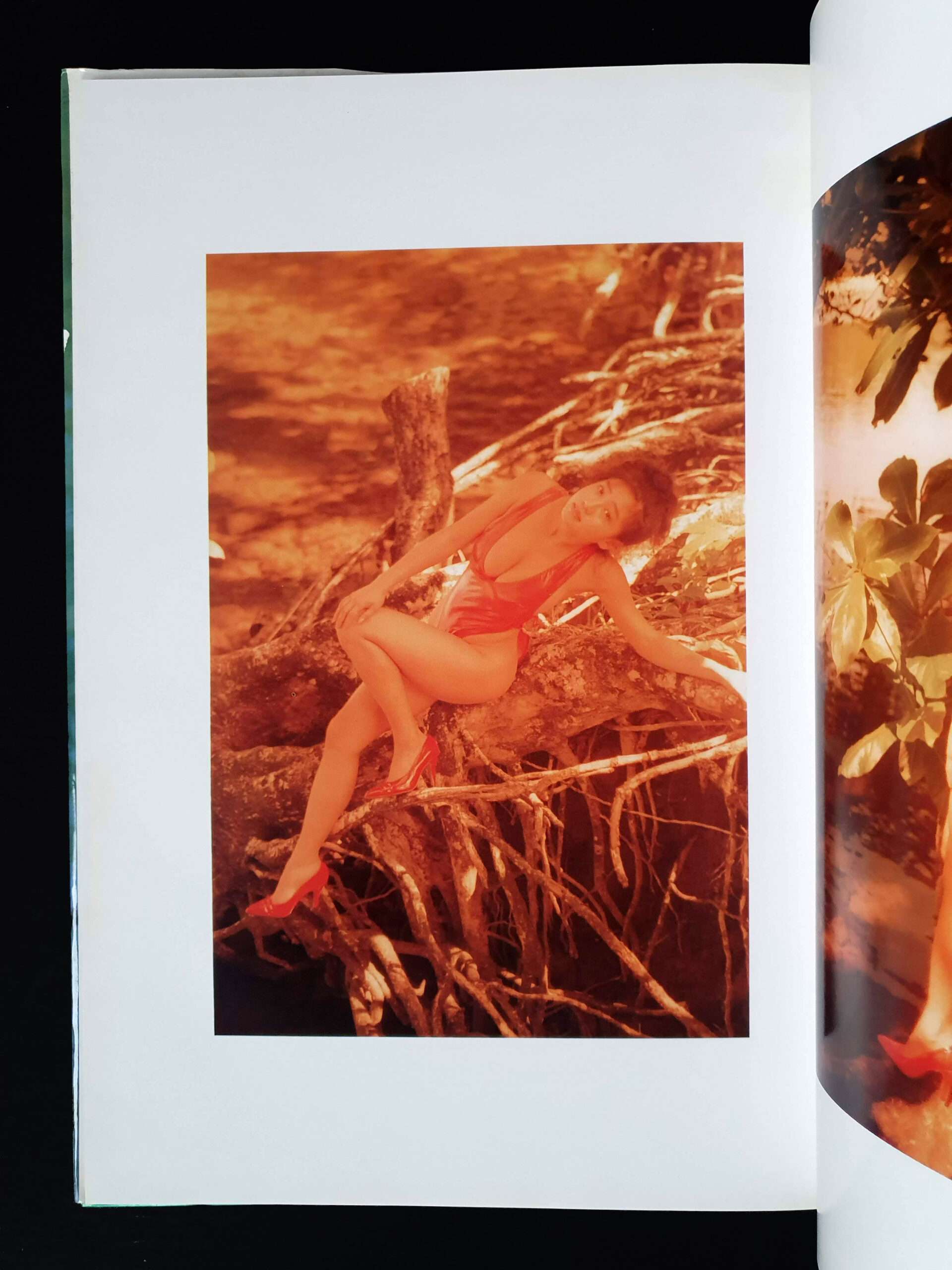 My girl Fumie Hosokawa 4 My girl Fumie Hosokawa 4