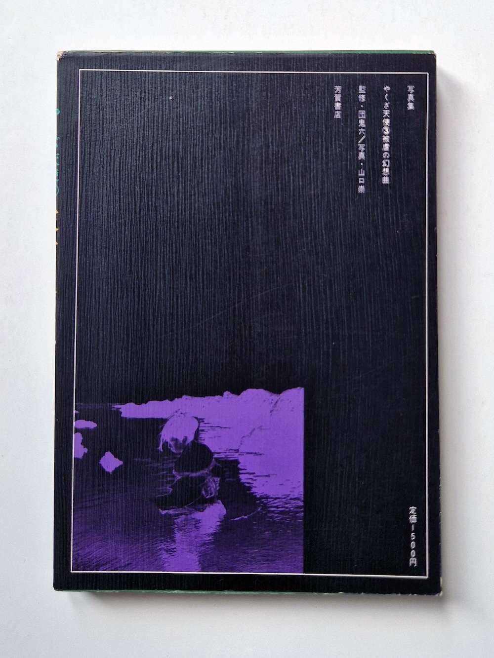 dan oniroku Yakuza Angel 1 No tattoos white back cover