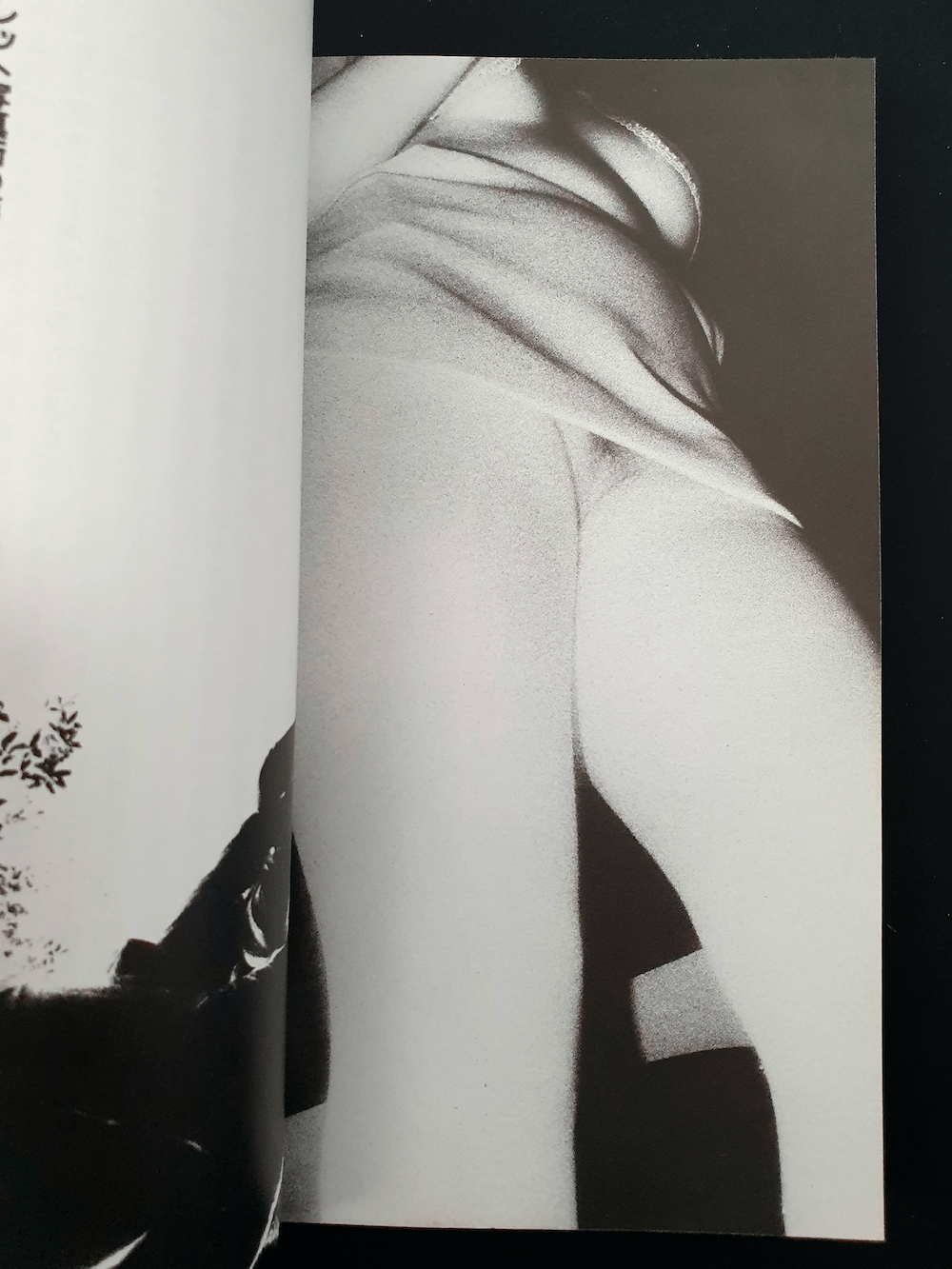 Secret Photography This is Infrared 14 Secret Photography This is Infrared 14