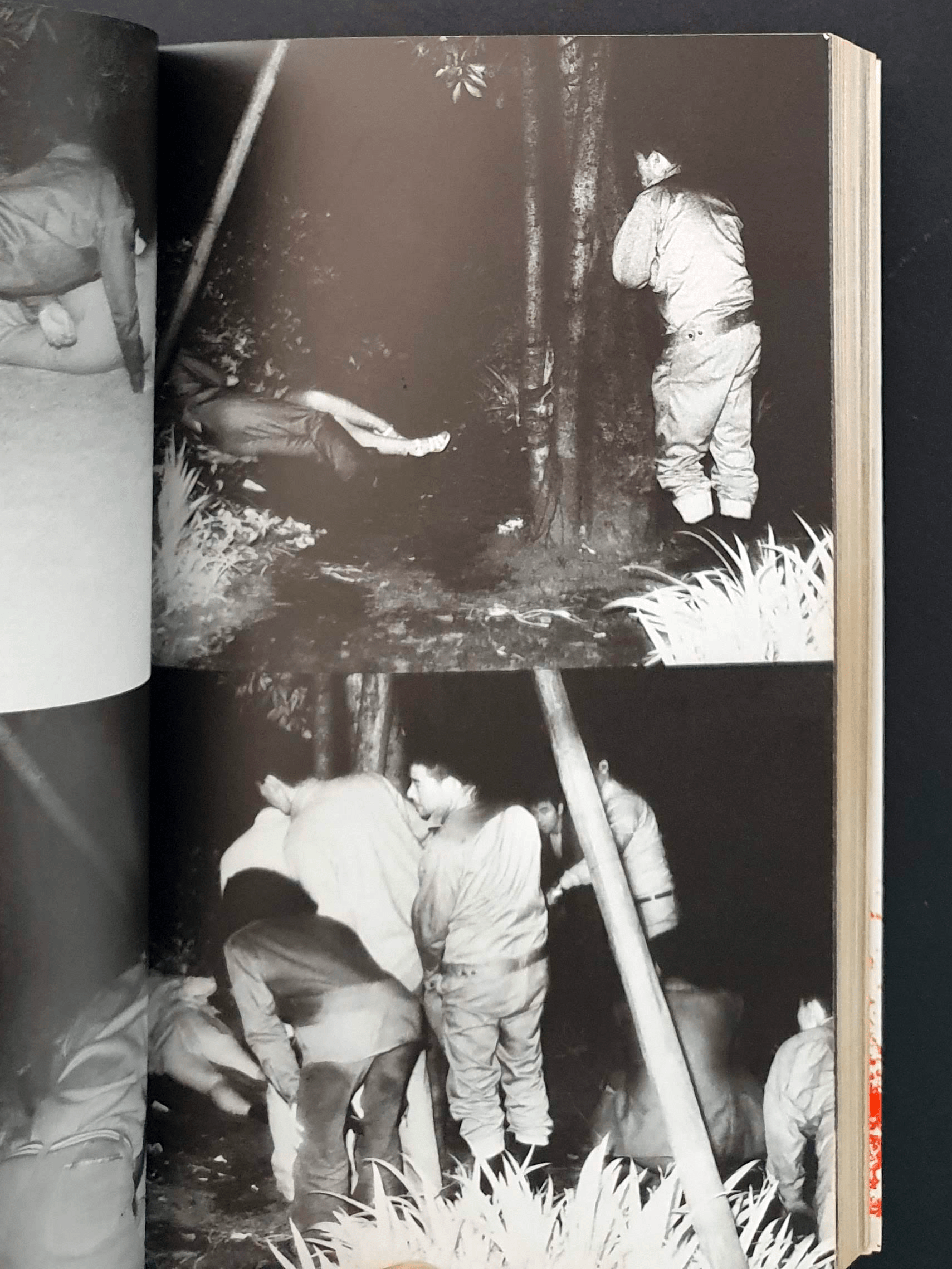 Secret Photography This is Infrared 5 Secret Photography This is Infrared 5