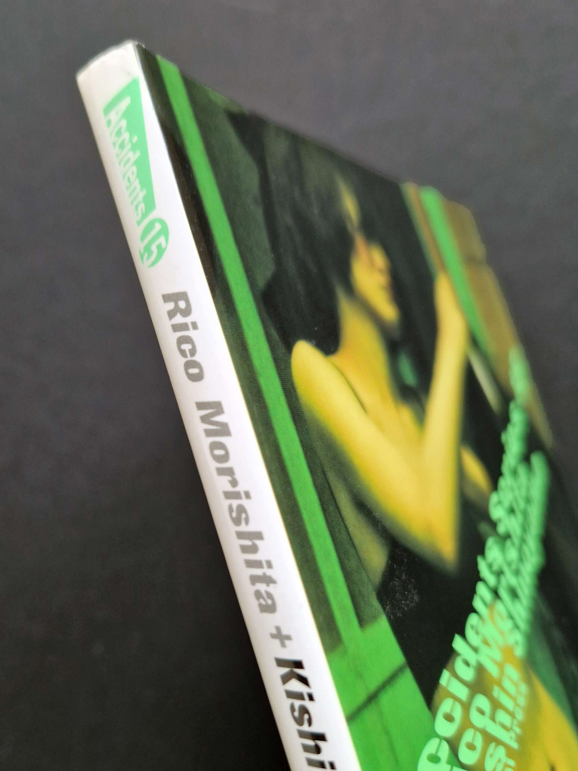 Accident series 15 Kishin Shinoyama cover 2 Accident series 15 Kishin Shinoyama cover 2