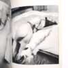 Bondage photo collection Ecstatic Aesthetics 1971 Sogo Tosho Ran Akiyoshi 10