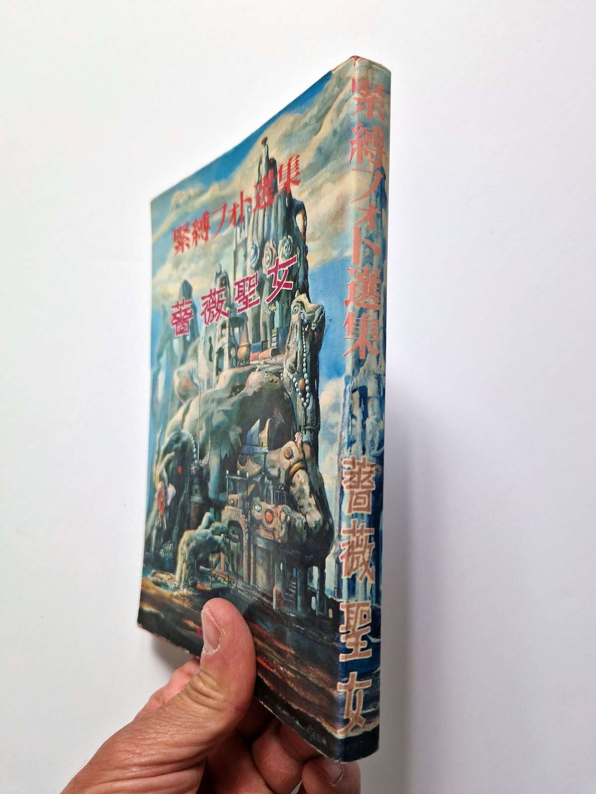 Bondage photo collection Rose Saint Avril 1971 Sogo Tosho A5 Ran Akiyoshi 1 Bondage photo collection Rose Saint Avril 1971 Sogo Tosho A5 Ran Akiyoshi 1