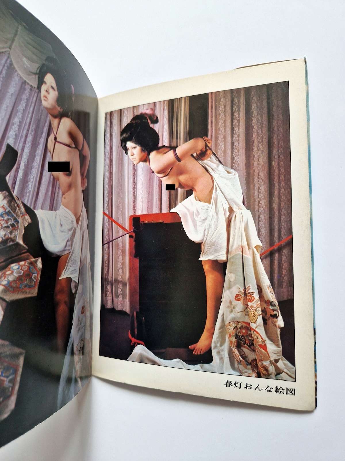 Bondage photo collection Rose Saint Avril 1971 Sogo Tosho A5 Ran Akiyoshi 3 Bondage photo collection Rose Saint Avril 1971 Sogo Tosho A5 Ran Akiyoshi 3