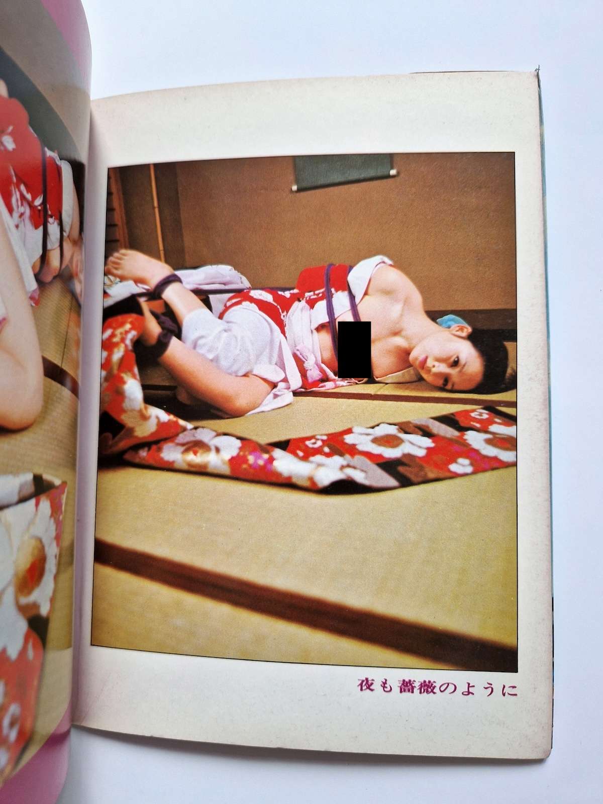 Bondage photo collection Rose Saint Avril 1971 Sogo Tosho A5 Ran Akiyoshi 4 Bondage photo collection Rose Saint Avril 1971 Sogo Tosho A5 Ran Akiyoshi 4