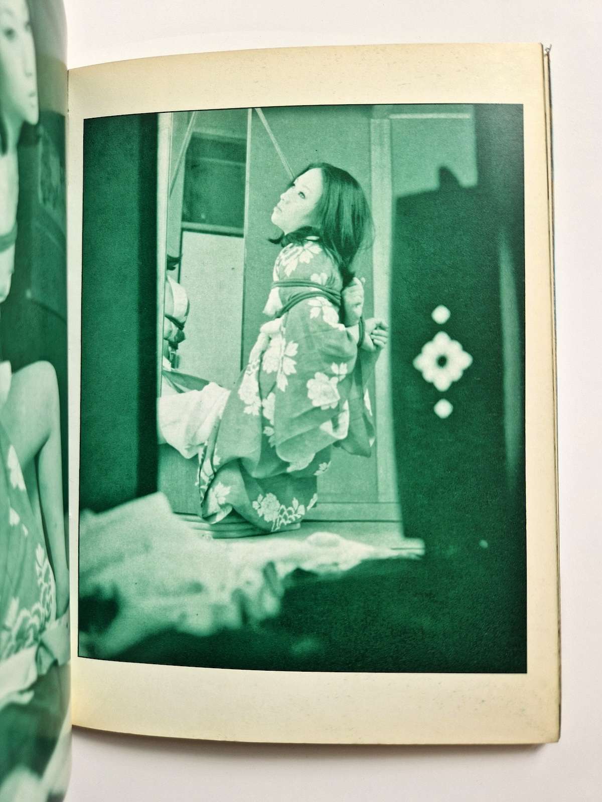 Bondage photo collection Rose Saint Avril 1971 Sogo Tosho A5 Ran Akiyoshi 8 Bondage photo collection Rose Saint Avril 1971 Sogo Tosho A5 Ran Akiyoshi 8