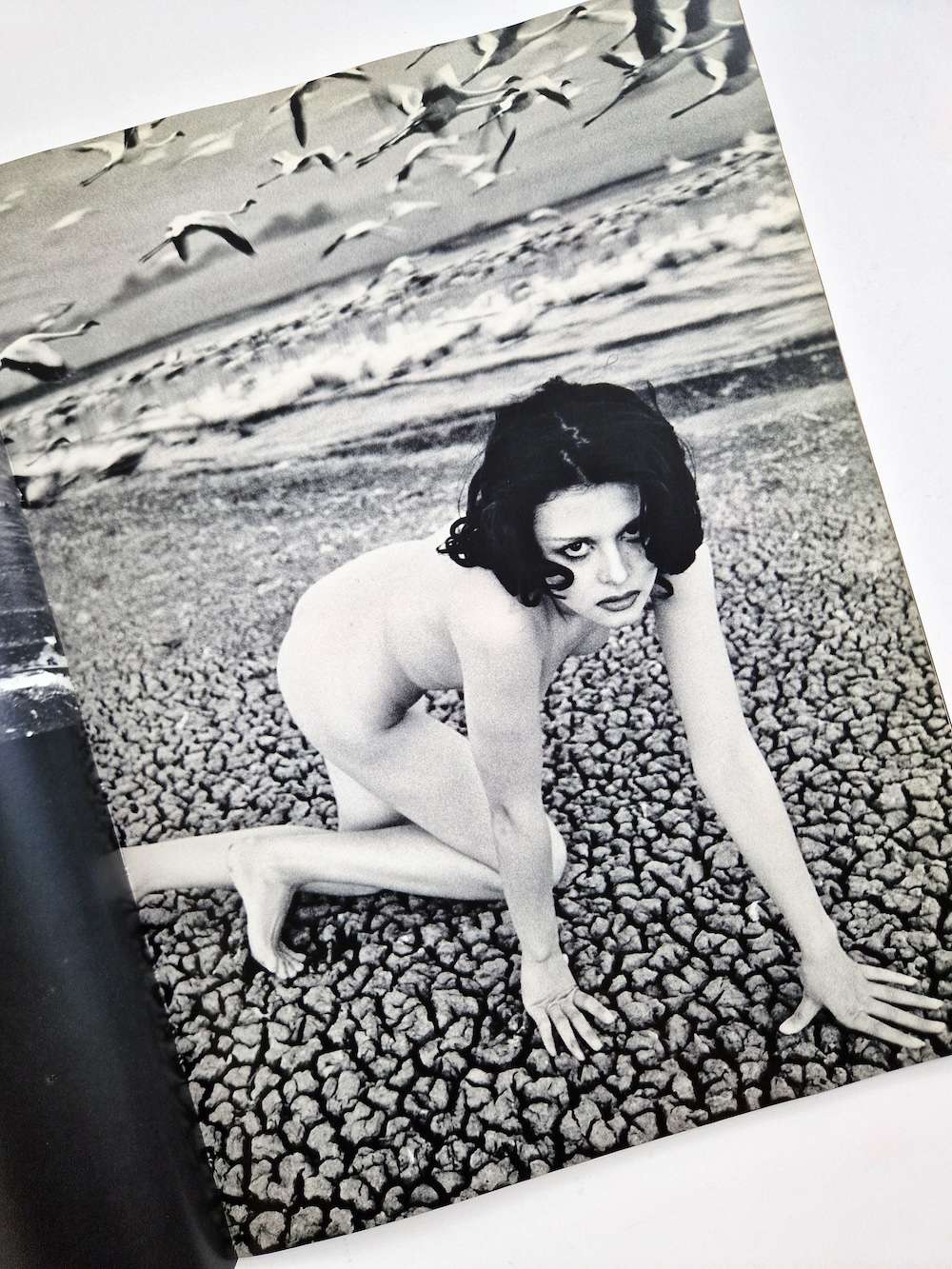 Ema nude in Africa Masaya Nakamura, Sam Haskins 13 Ema nude in Africa Masaya Nakamura, Sam Haskins 13