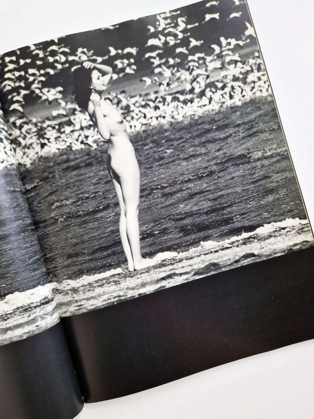 Ema nude in Africa Masaya Nakamura, Sam Haskins 14 Ema nude in Africa Masaya Nakamura, Sam Haskins 14