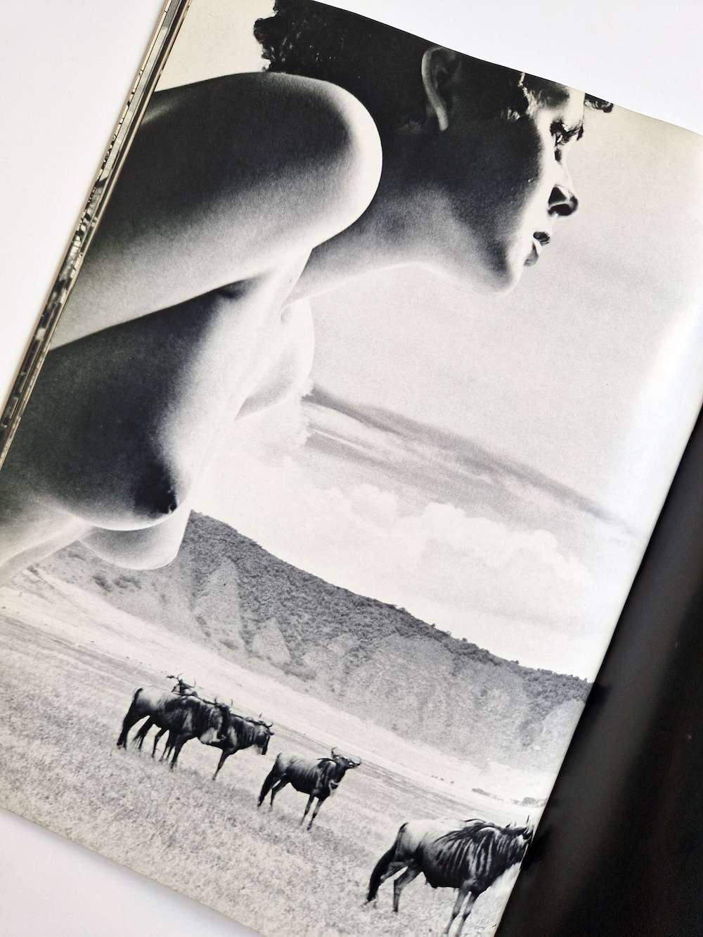 Ema nude in Africa Masaya Nakamura, Sam Haskins 17 Ema nude in Africa Masaya Nakamura, Sam Haskins 17