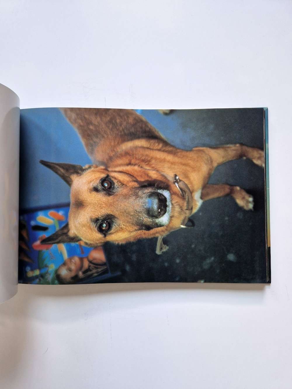 Hiromix Paris 97 98 10 Hiromix Paris 97 98 10