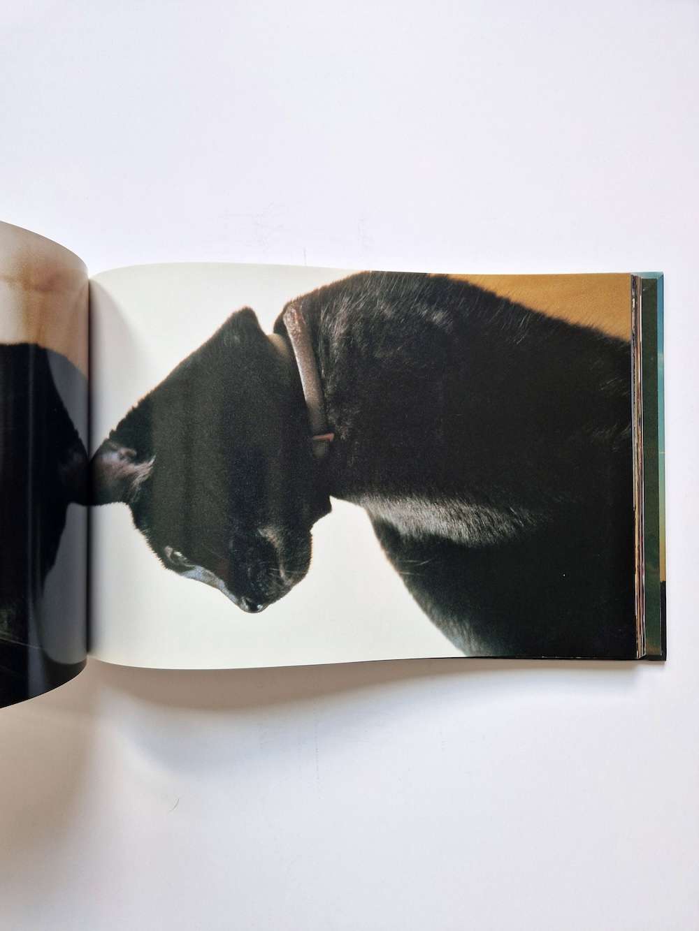 Hiromix Paris 97 98 17 Hiromix Paris 97 98 17