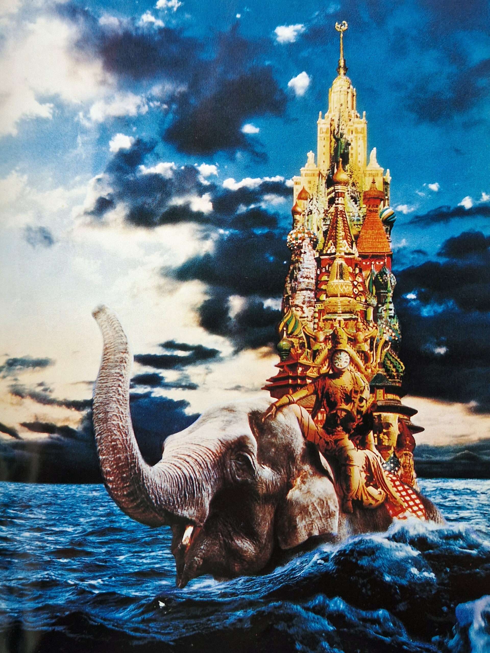 Kimura Camera Tsunehisa Parco 13