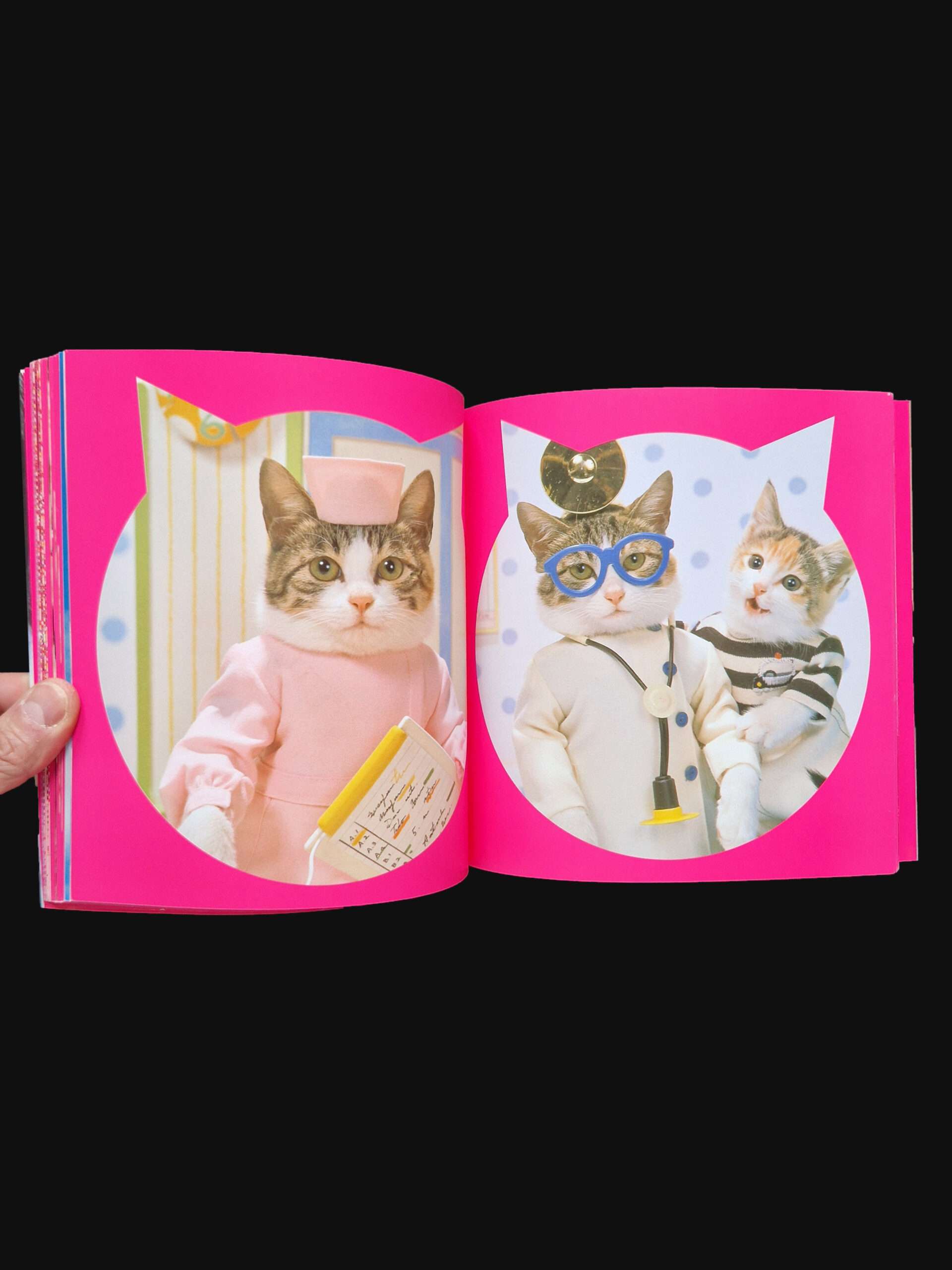 Rock n roll Cats Kyoichi Tsuzuki 10 Rock n roll Cats Kyoichi Tsuzuki 10