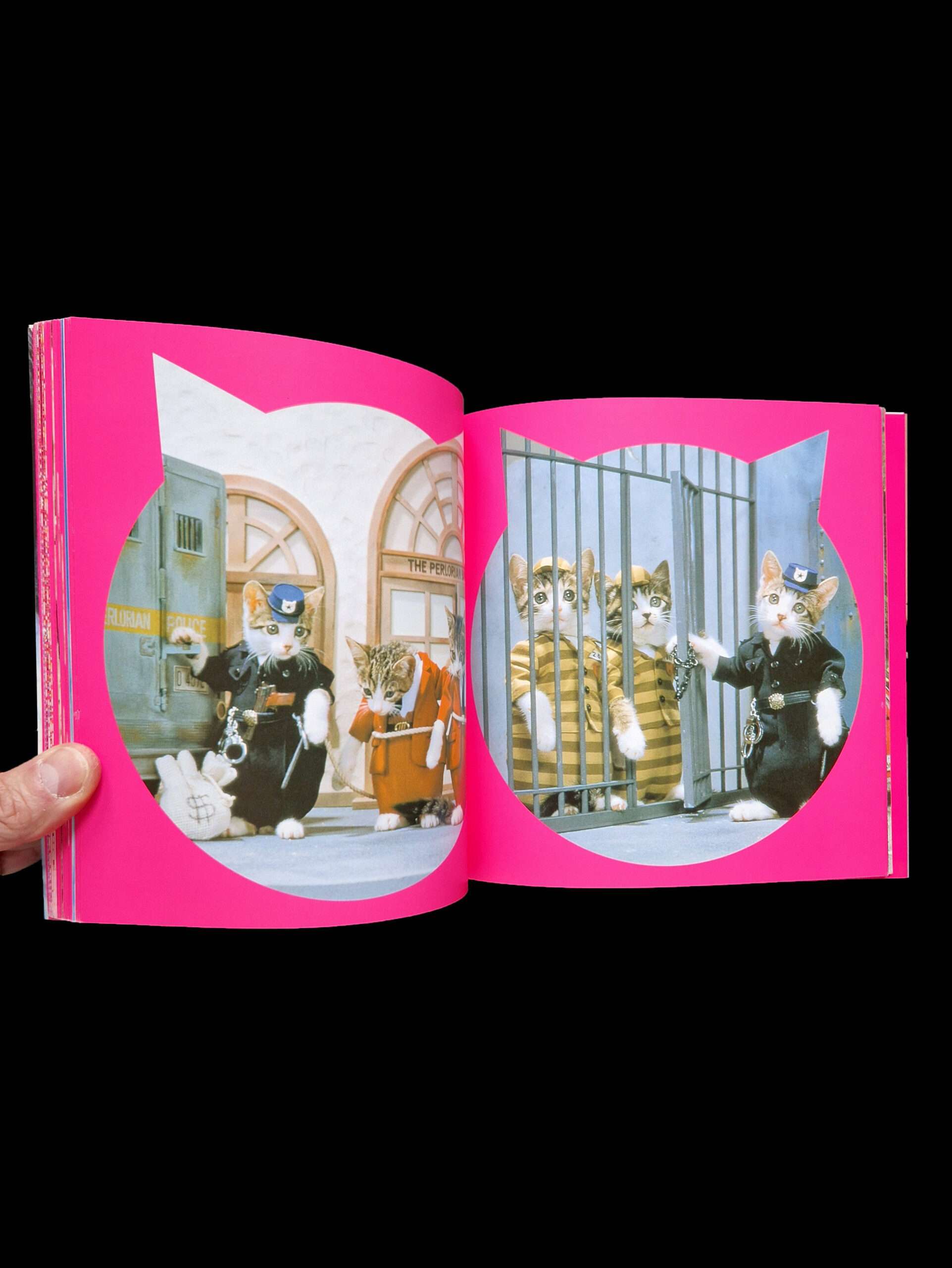 Rock n roll Cats Kyoichi Tsuzuki 11 Rock n roll Cats Kyoichi Tsuzuki 11