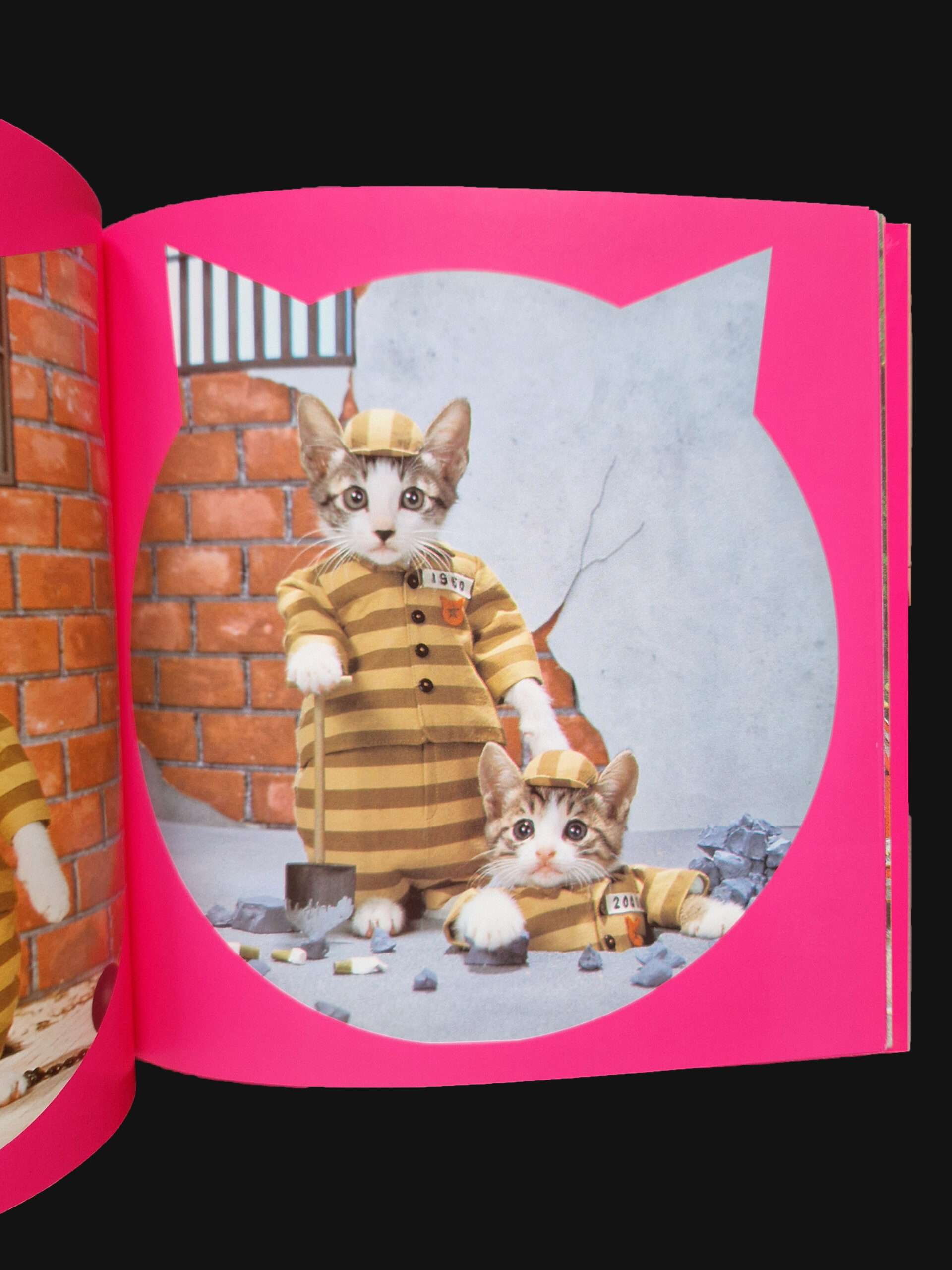 Rock n roll Cats Kyoichi Tsuzuki 13 Rock n roll Cats Kyoichi Tsuzuki 13