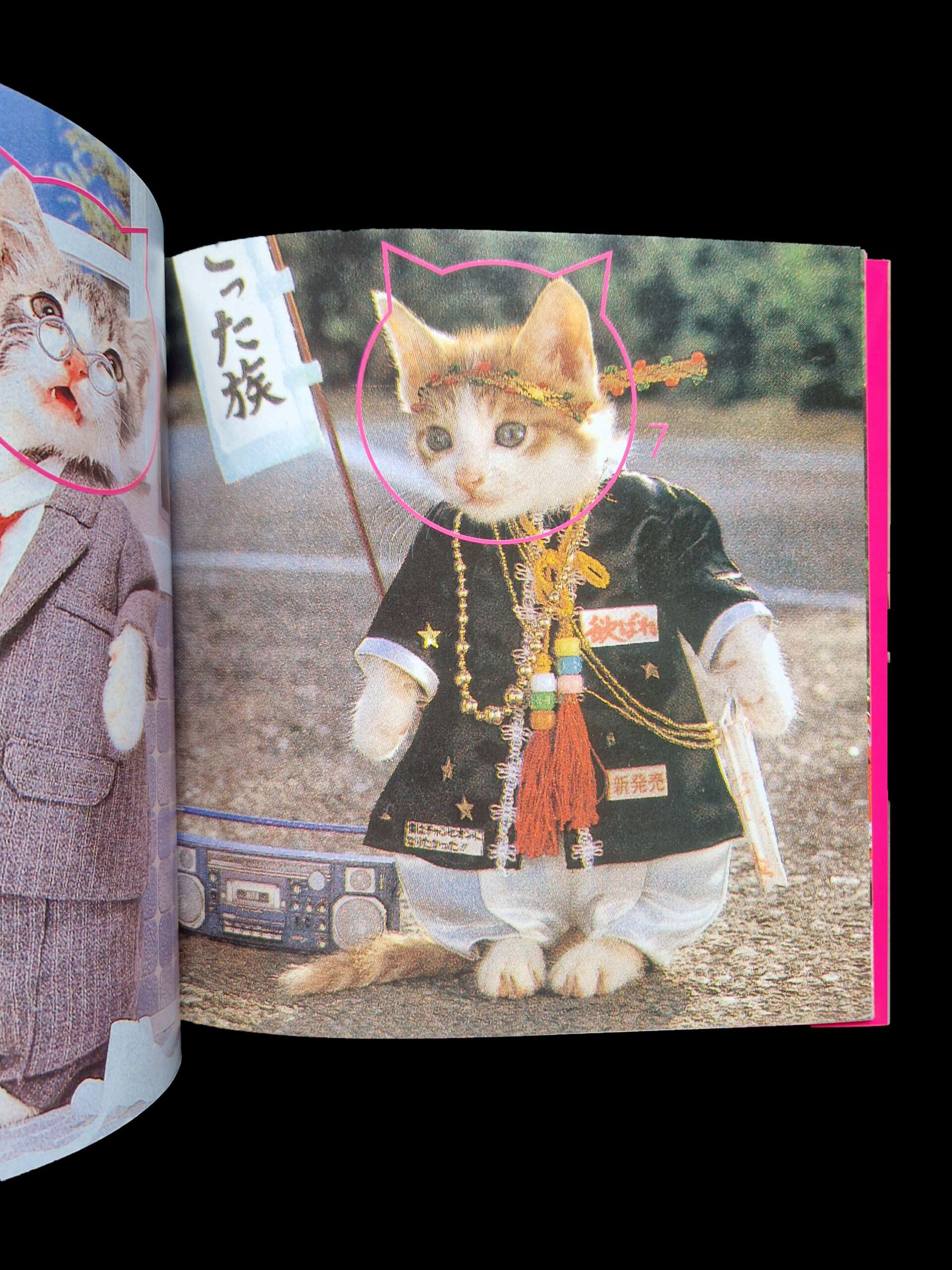 Rock n roll Cats Kyoichi Tsuzuki 15 Rock n roll Cats Kyoichi Tsuzuki 15