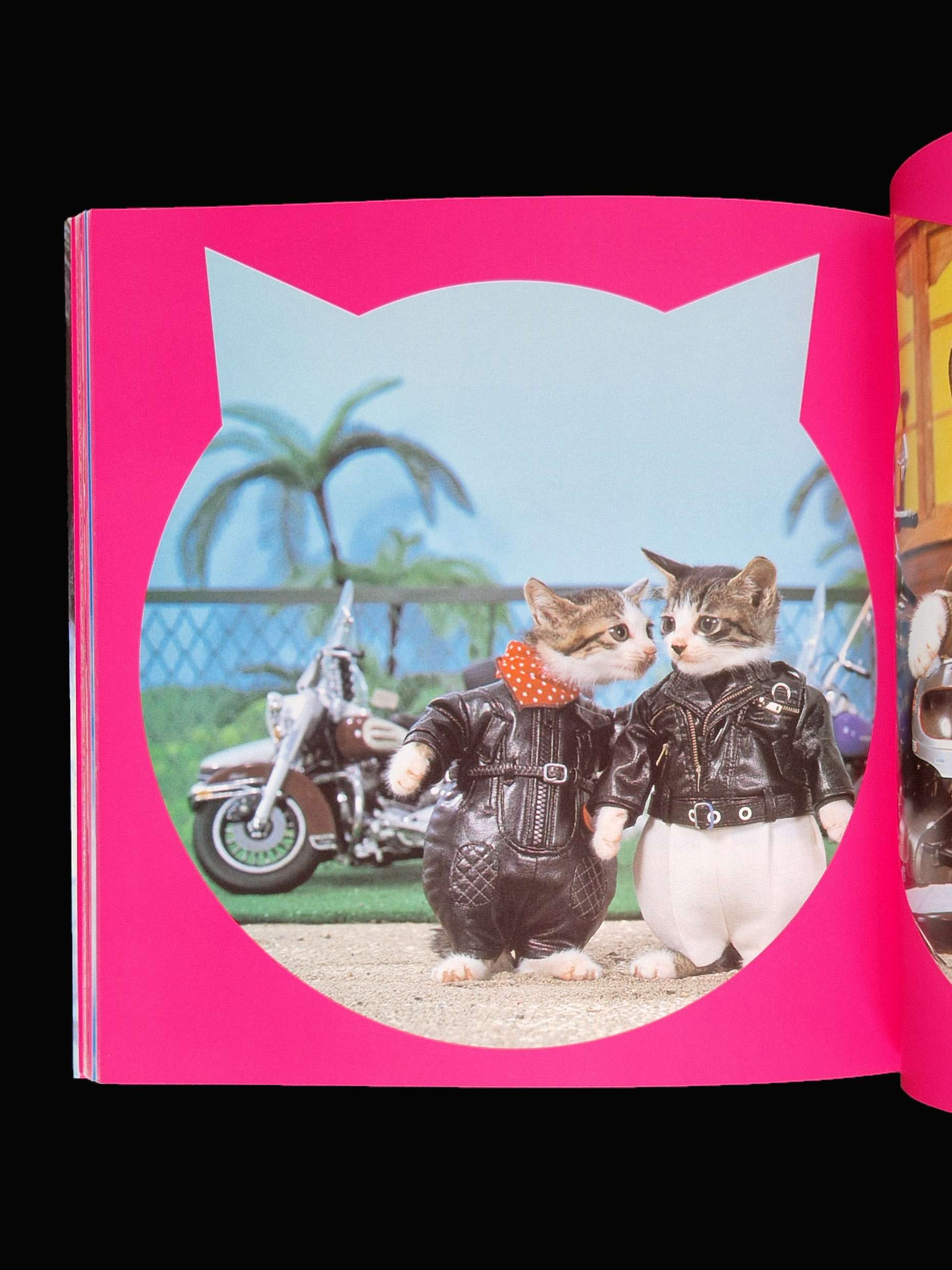 Rock n roll Cats Kyoichi Tsuzuki 20 Rock n roll Cats Kyoichi Tsuzuki 20