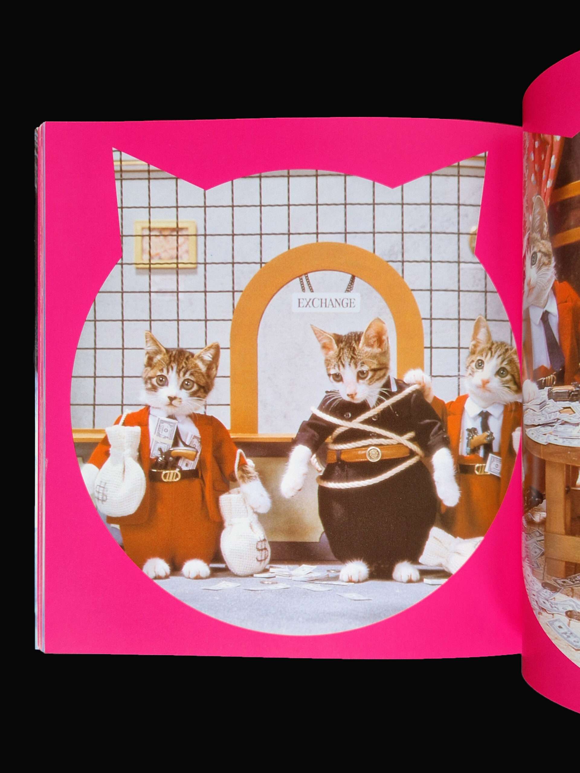 Rock n roll Cats Kyoichi Tsuzuki 22 Rock n roll Cats Kyoichi Tsuzuki 22