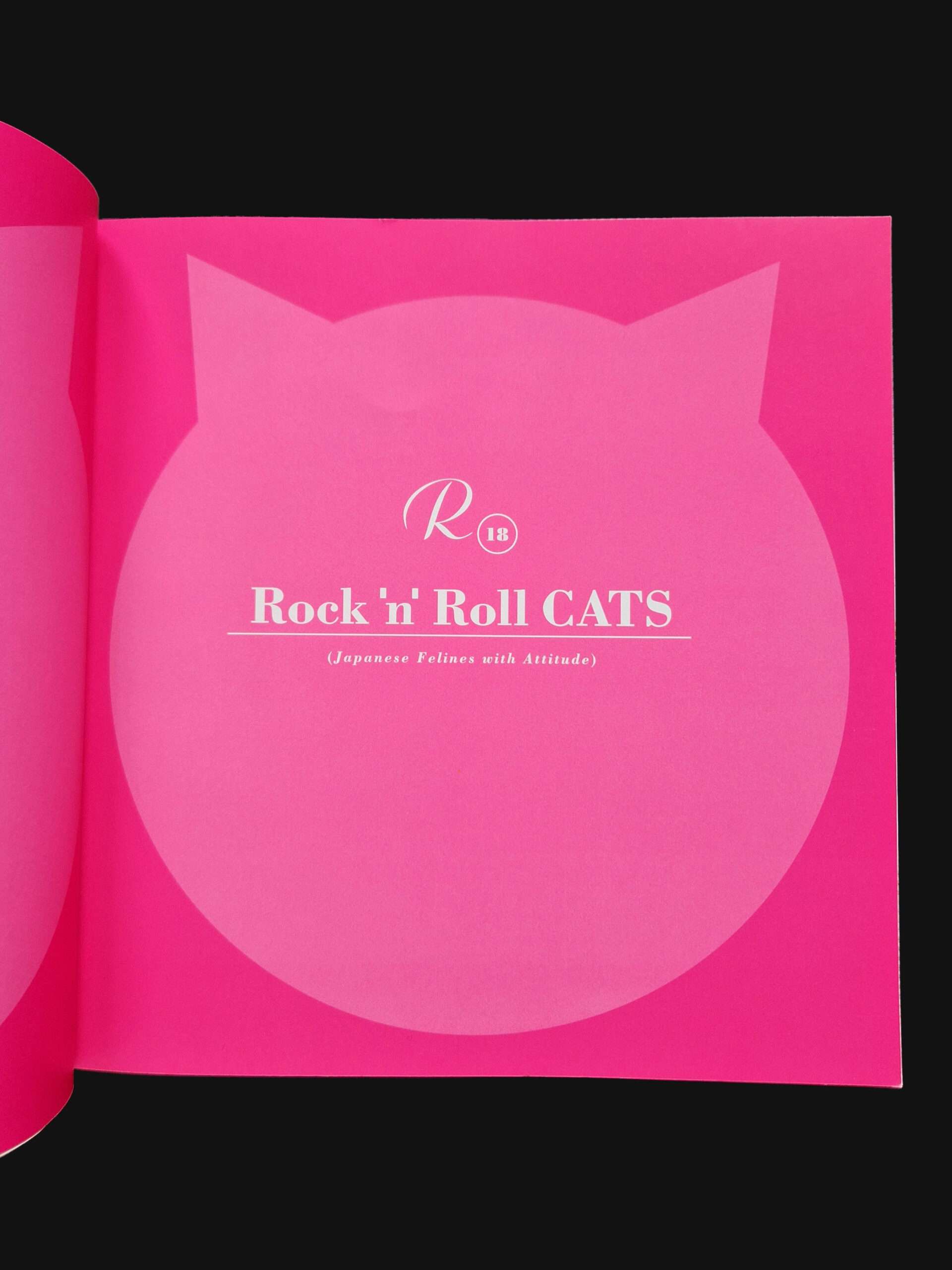 Rock n roll Cats Kyoichi Tsuzuki 4 Rock n roll Cats Kyoichi Tsuzuki 4