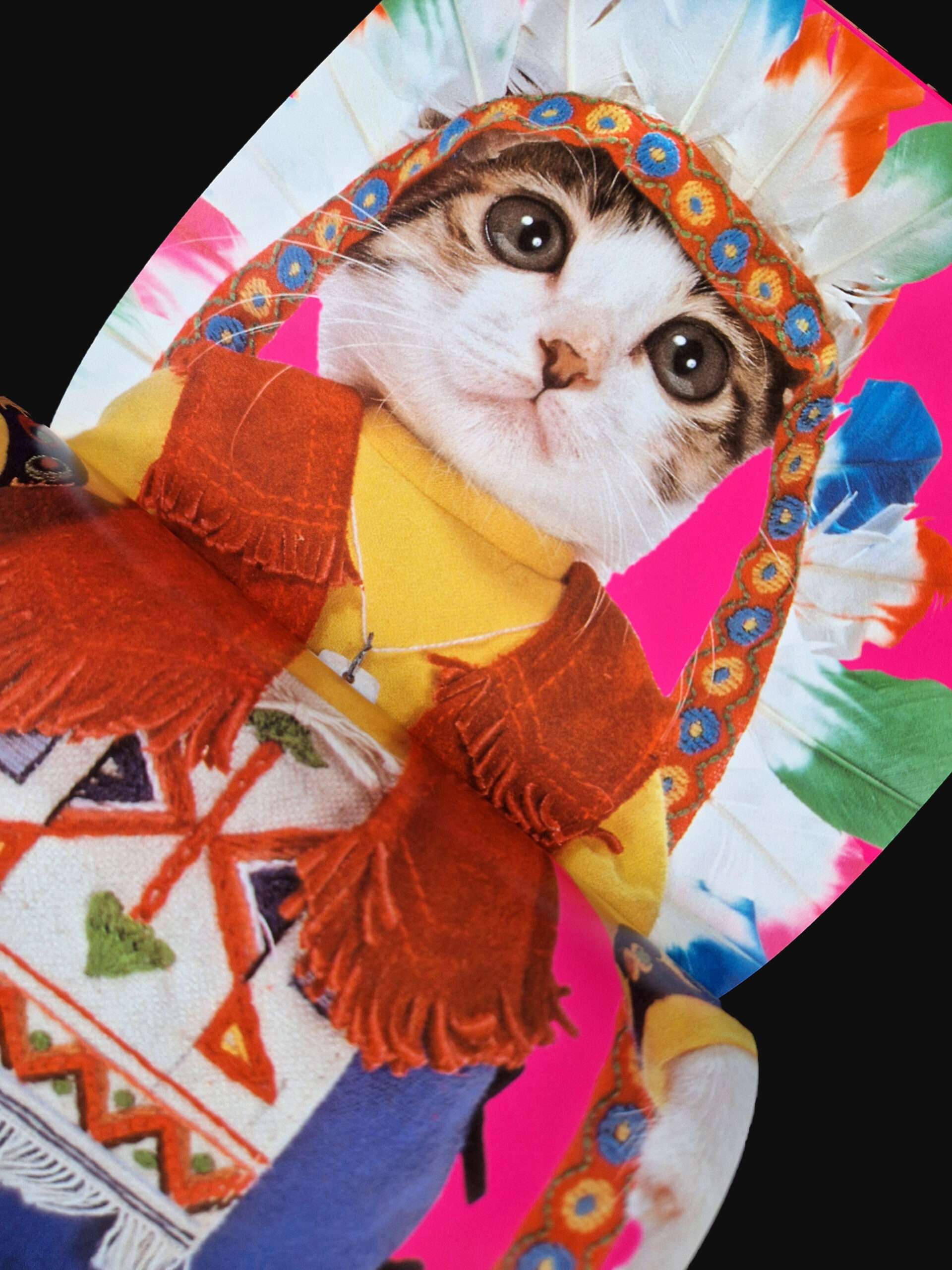 Rock n roll Cats Kyoichi Tsuzuki 5 Rock n roll Cats Kyoichi Tsuzuki 5