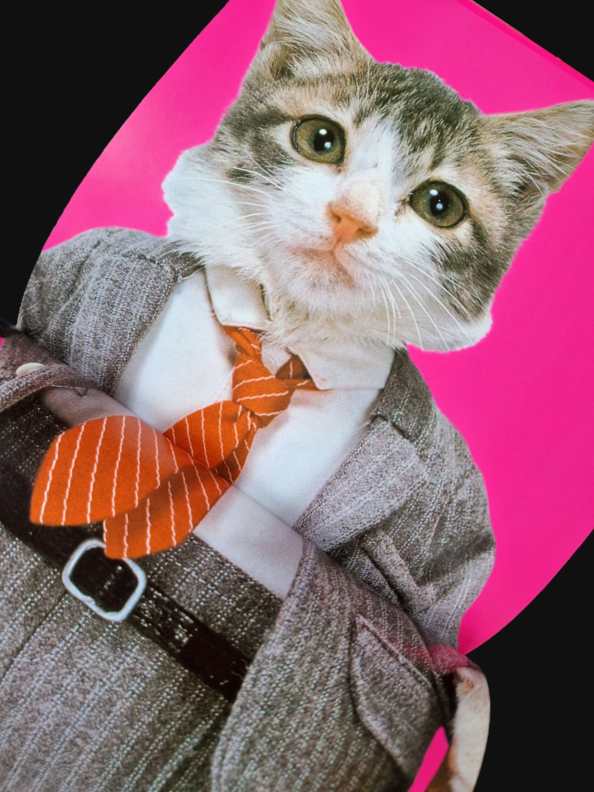 Rock n roll Cats Kyoichi Tsuzuki 6 Rock n roll Cats Kyoichi Tsuzuki 6