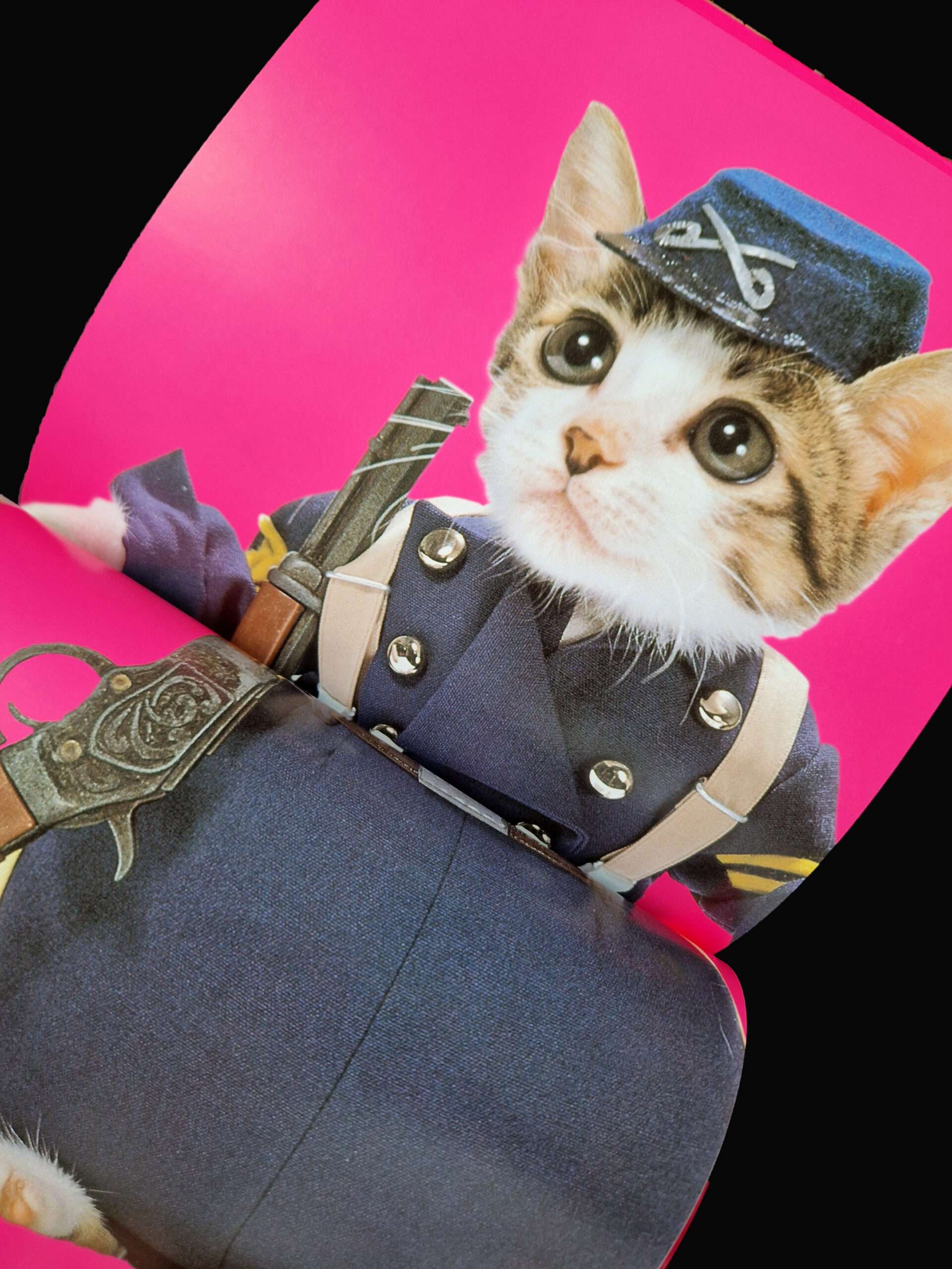 Rock n roll Cats Kyoichi Tsuzuki 7 Rock n roll Cats Kyoichi Tsuzuki 7