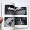 Sentimental May Nobuyoshi Araki 10