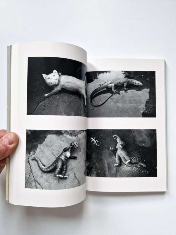 Sentimental May Nobuyoshi Araki 10