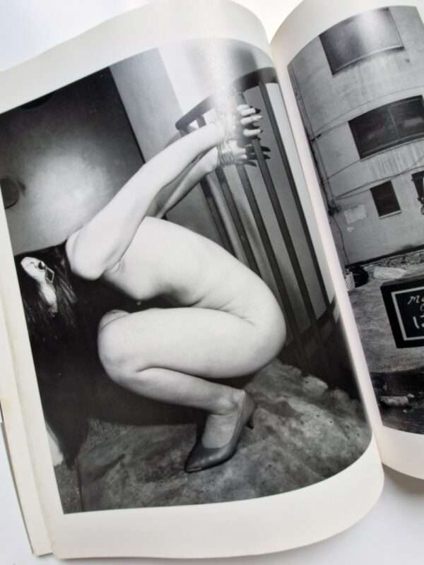 Tokyo Nude Nobuyoshi Araki 13