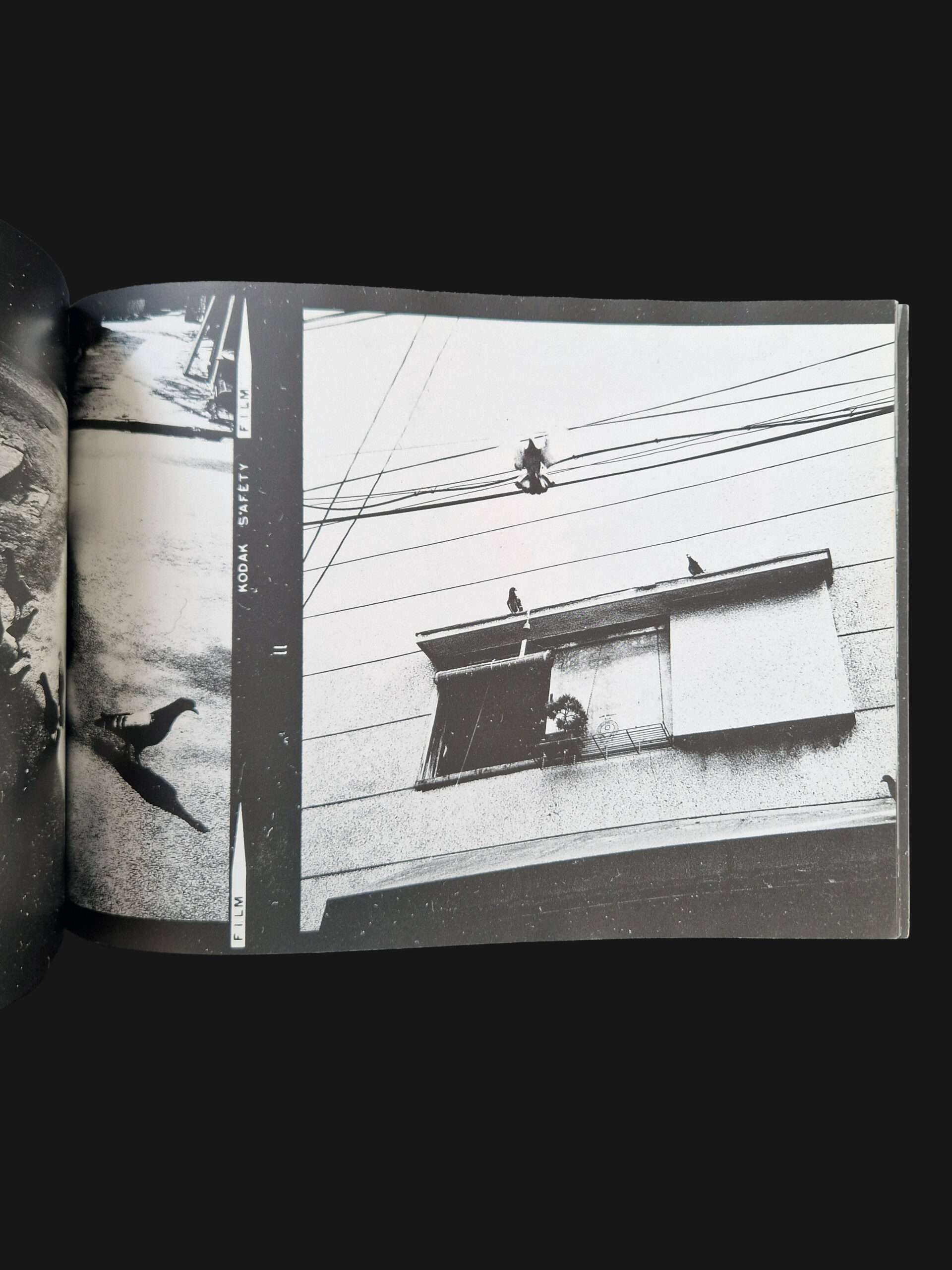 After the war (Shūsen go) Nobuyoshi Araki 15 After the war (Shūsen go) Nobuyoshi Araki 15